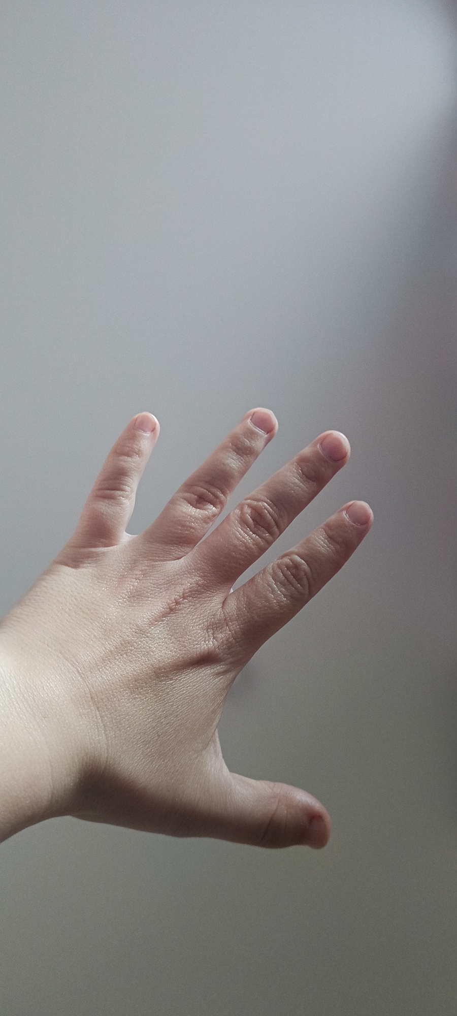 A close-up, medium-shot photograph shows the back of a person's left hand, palm facing upwards and fingers splayed outwards against a plain, light gray background. The hand appears to be that of an adult. The fingers are slightly curved and separated, with visible knuckles and creases. There is a faint, thin scar visible across the back of the hand, spanning from between the ring finger and the middle finger towards the base of the index finger. The lighting is soft and diffused, creating subtle shadows that highlight the texture of the skin. No specific location within the city of Хохлы, Russia, can be determined from the image.