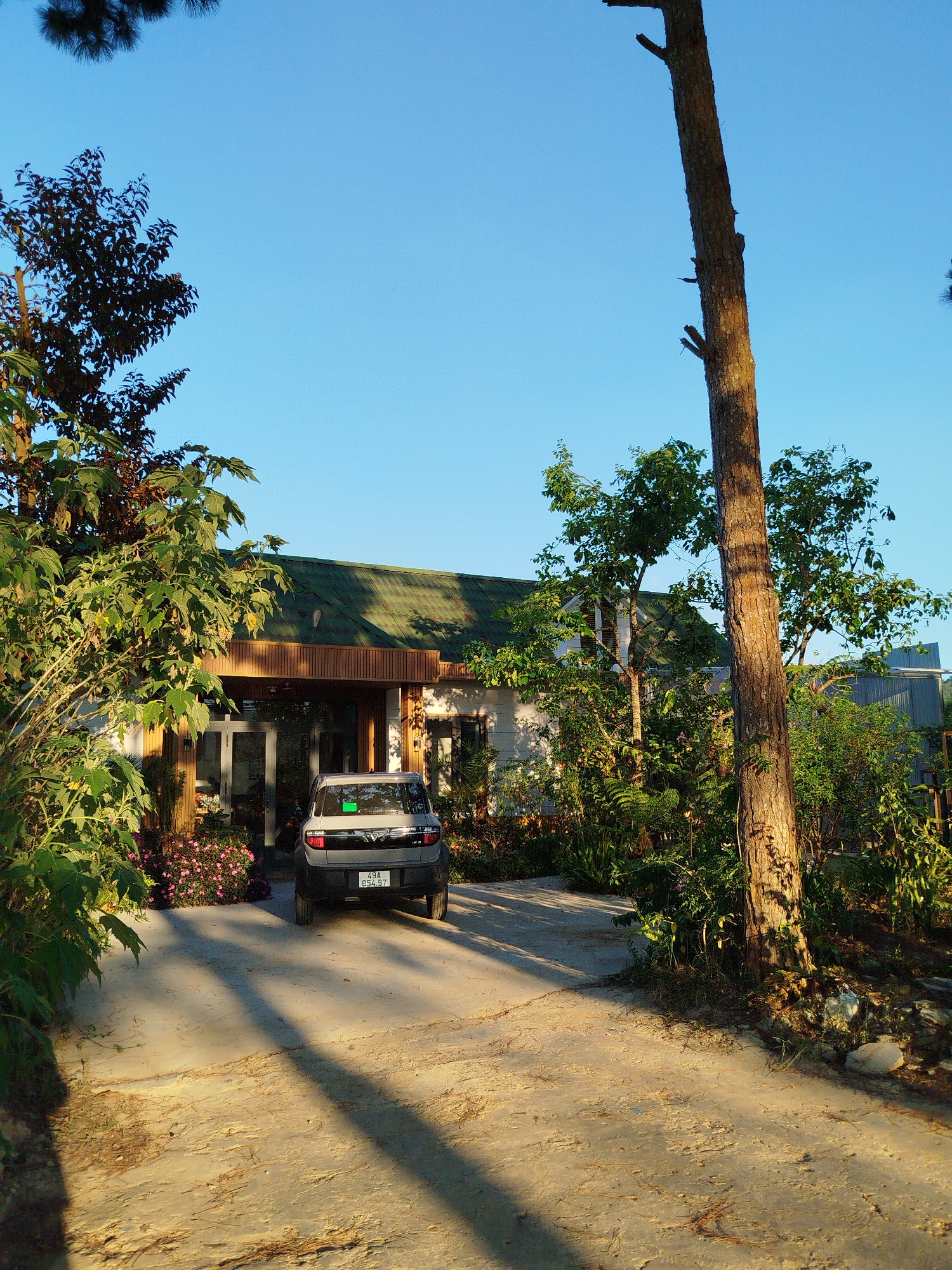Captured during daylight in Da Lat, Vietnam, the image shows a light gray car parked in front of a building with a green roof and light-colored walls. The car's license plate reads "49A 054.97". The building has a glass-fronted entrance bordered by wooden beams, with flowers planted in front. The surroundings include trees and foliage, with shadows cast across the ground. A tall, bare-trunked tree stands to the right of the scene. The sky above is clear and blue. The ground appears to be a dirt or concrete driveway leading up to the building.