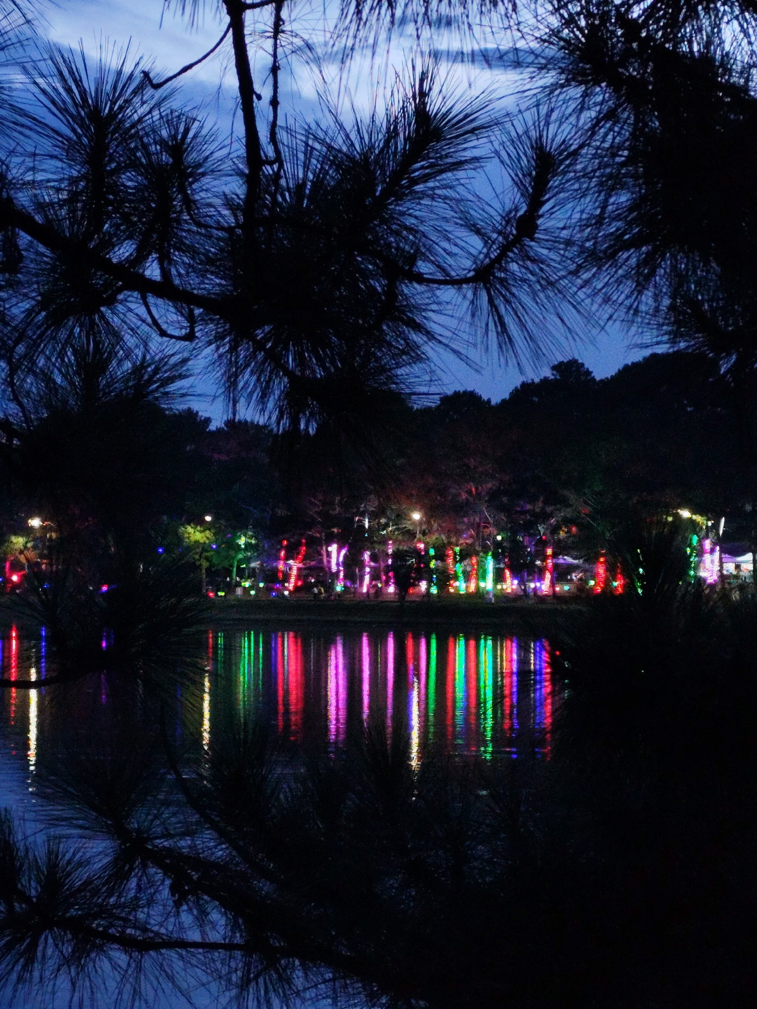 A dark, slightly blurry night scene shows colorful lights reflected in water. The reflection is mostly vertical streaks of yellow, pink, green and red. Silhouetted pine branches and trees frame the view, with dark trees in the background along the waterfront. The scene appears to be a public park or waterfront in an urban location.