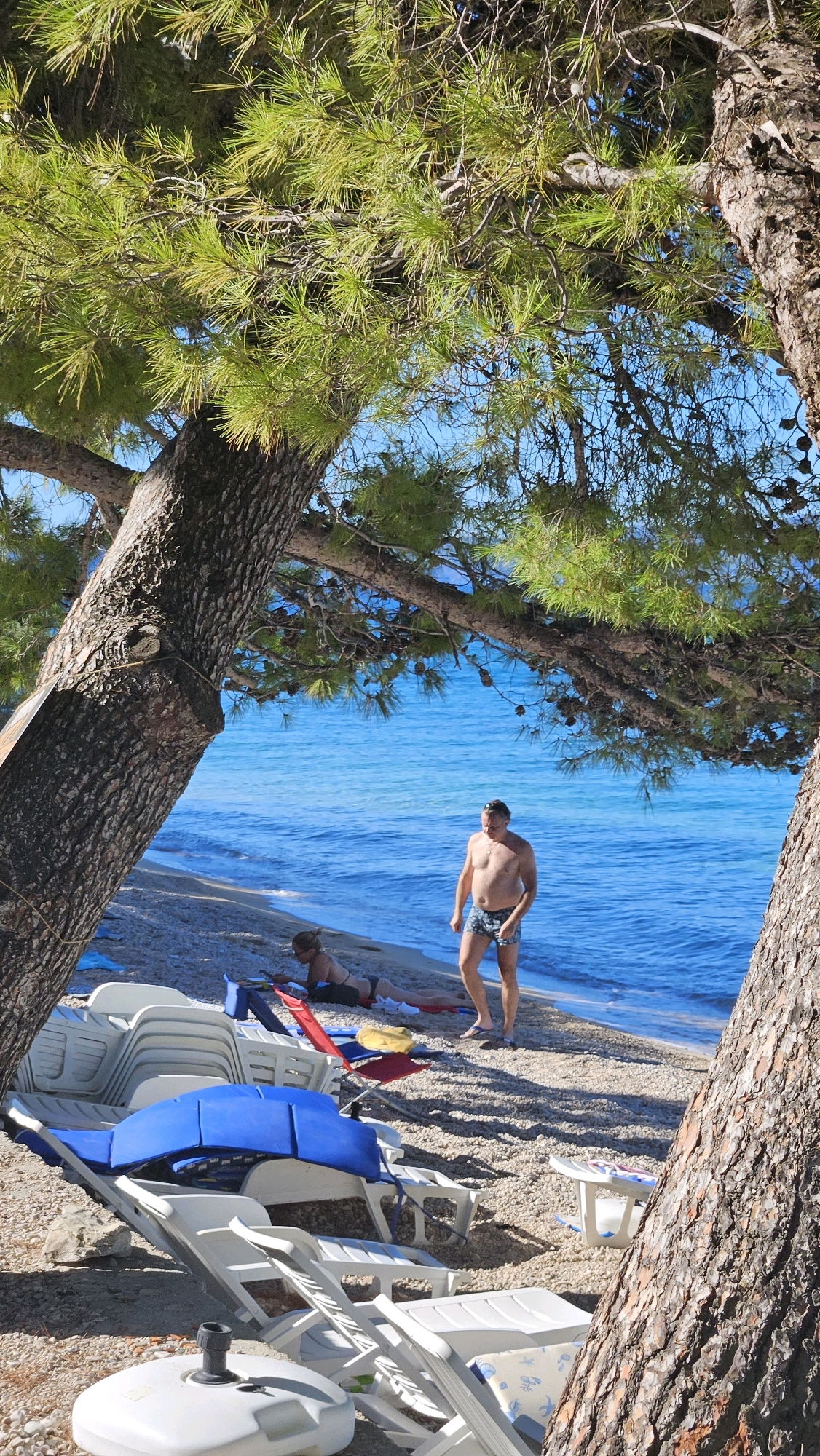 In Općina Tučepi, Croatia, on a sun-drenched beach, two individuals are present. A man, shirtless and wearing patterned swim shorts, stands on the pebble-strewn shore. Nearby, a woman reclines on a red towel, also dressed in swimwear. The scene is framed by the branches and trunks of pine trees, with their needles casting dappled shadows. In the foreground, a collection of white plastic beach chairs are stacked, some with blue cushions. The vibrant blue Adriatic Sea stretches out behind the people, meeting the horizon under a clear sky. The atmosphere suggests a relaxed day at the seaside.