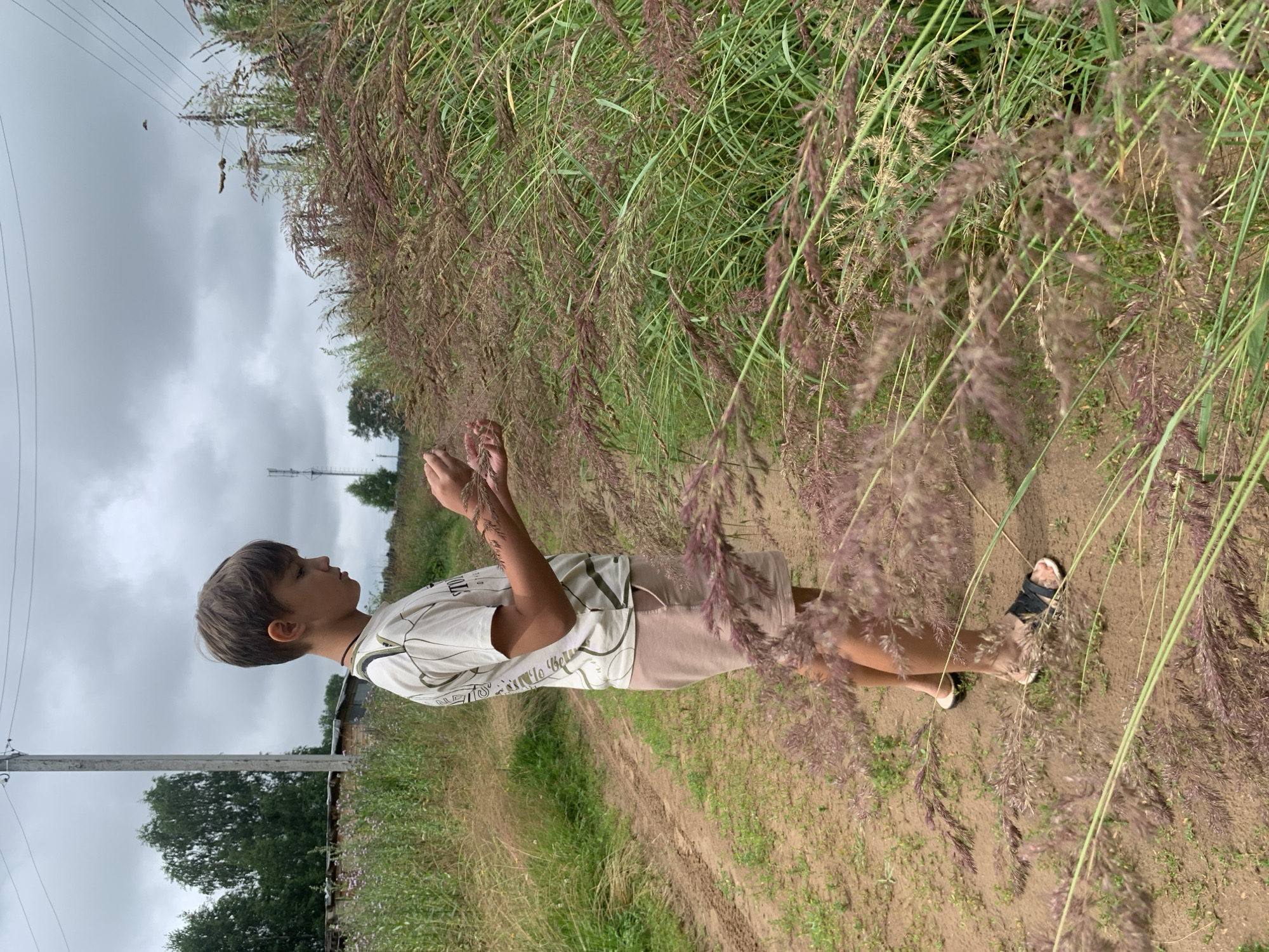 A young boy stands in a field of tall grass next to a dirt road. He is wearing a light-colored t-shirt with a pattern and beige shorts. His hands are cupped as if holding something. The grass is a mix of green and reddish-brown plumes. In the background, there is a power pole, some trees, and a few low-lying structures. The sky is overcast and gray. The scene appears to be in a rural or semi-rural area, consistent with a location in the city of Zasechnyi, Russia.