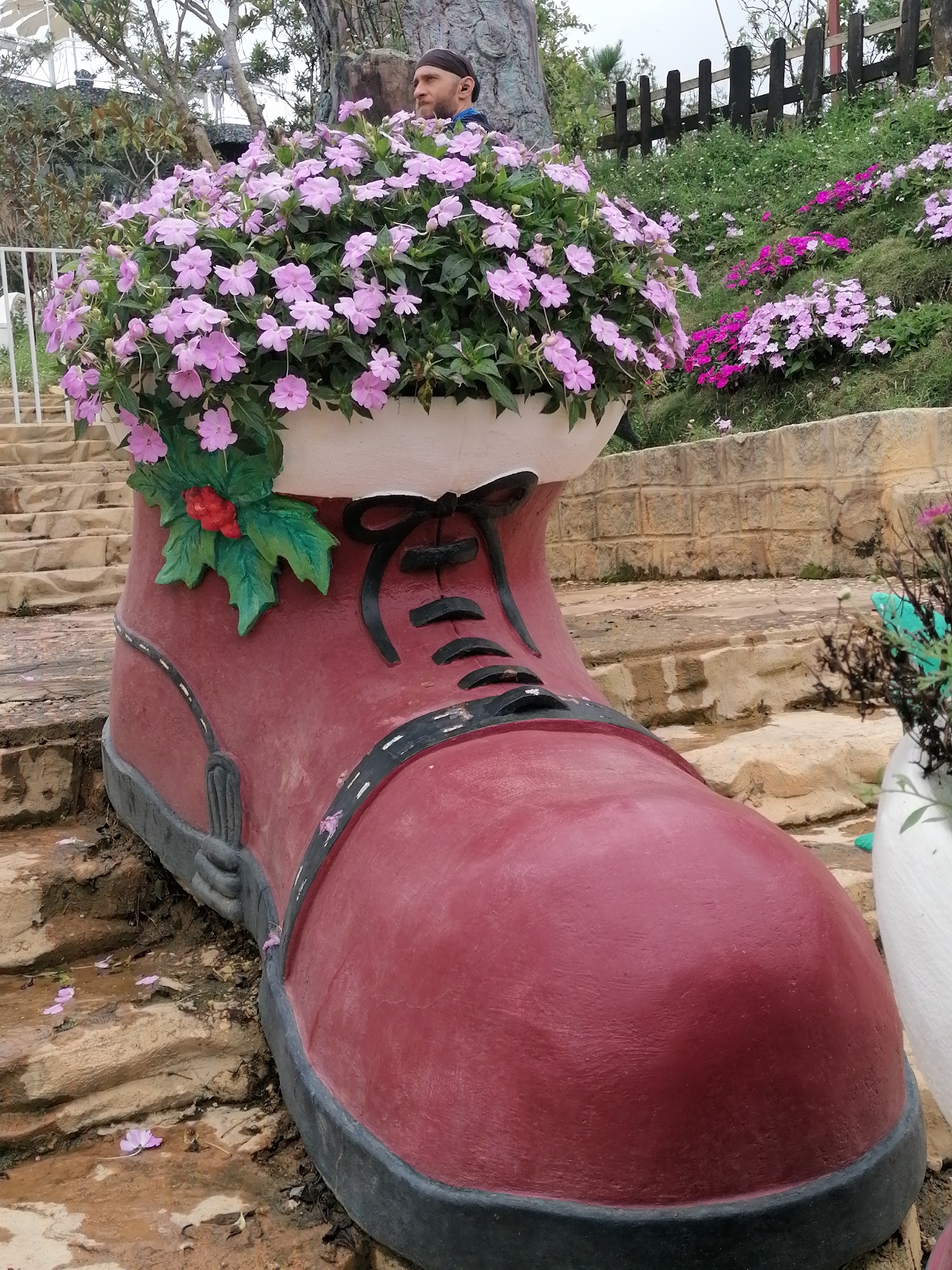 This outdoor image, captured in Lạc Dương, Vietnam, features a whimsical garden display dominated by a massive, red, boot-shaped planter. The boot, detailed with black laces and a sole, has a white cuff overflowing with vibrant light purple flowers, likely Impatiens. A small cluster of artificial red berries and green holly leaves adorns the side of the boot, adding a festive touch.
In the upper left background, partially obscured by the flowers, a man is visible. He wears a dark shirt and a headband, looking towards the right side of the frame. Behind him are trees and what appears to be part of a building or structure.
The setting is a landscaped area with stone or concrete stairs leading upwards on the left. The ground around the boot is a mix of dirt and stone, with fallen purple petals scattered about. To the right and behind the boot, a grassy hillside ascends, dotted with more patches of pink and magenta flowers, and bordered by a rustic wooden fence at the top. A stone wall runs horizontally across the midground on the right. Another, smaller white planter is partially visible on the far right.
The scene depicts a sunny or mildly overcast daytime, with soft, diffused light. There is no discernible activity other than the man observing the surroundings. No text is visible in the image. The overall impression is one of a decorative and colorful garden feature at a tourist attraction or park.