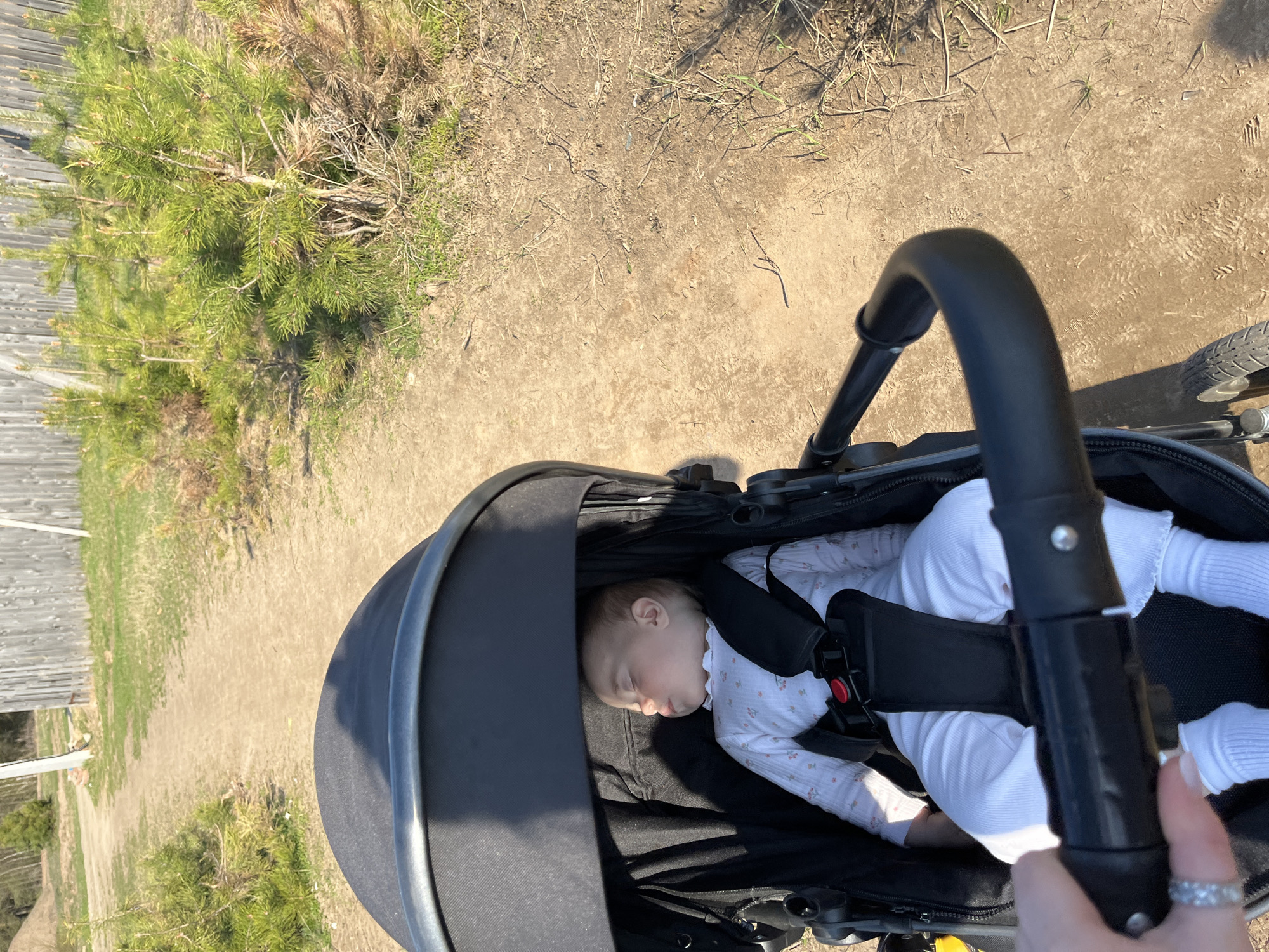 A top-down view shows an infant sleeping in a stroller. The infant wears white clothing with a small floral pattern. A black harness secures the child in place. The stroller's canopy is partially closed, shielding the infant from direct sunlight. A hand with a ring is visible on the stroller's handle. The background shows a dirt path, bordered by green vegetation and a wooden fence. Based on the information provided, the location of the image may be in the city of Chaikovsky, Russia.