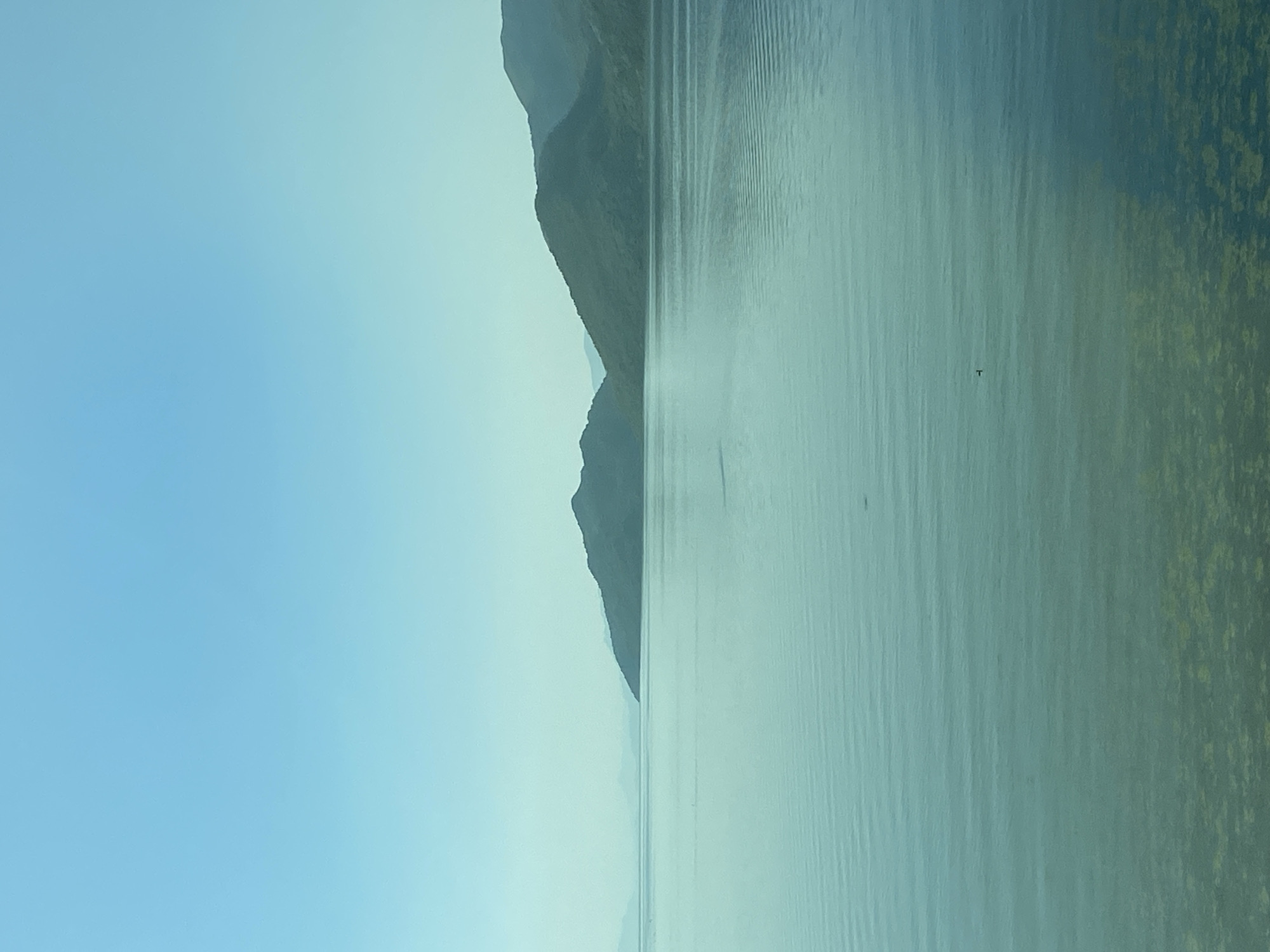 The image depicts a serene lake scene with mountains in the background. The sky is a clear, light blue, fading to a slightly lighter hue near the horizon. The lake itself is a tranquil expanse of calm, greenish-blue water, reflecting the subtle colors of the sky. Gentle ripples disturb the surface of the water, particularly in the middle ground, suggesting a slight breeze. The foreground of the lake reveals the submerged bottom, covered with patches of green algae or aquatic vegetation.
In the distance, a series of rolling, green-hued mountains form the horizon. The mountains are covered in lush vegetation and their shapes are rounded, with softer slopes rather than sharp peaks. The leftmost mountains are fainter, appearing hazy due to atmospheric perspective. A small, dark object, possibly a bird or a floating piece of debris, is visible on the water's surface in the middle right portion of the image.
The scene is devoid of any human presence or man-made structures. The overall impression is one of natural beauty and peacefulness. While the prompt mentions the city of Kruševica, Montenegro, this specific image does not contain any identifiable landmarks or clues that definitively place it in that particular location. However, the natural landscape of mountains and a large body of water is consistent with many areas in Montenegro.