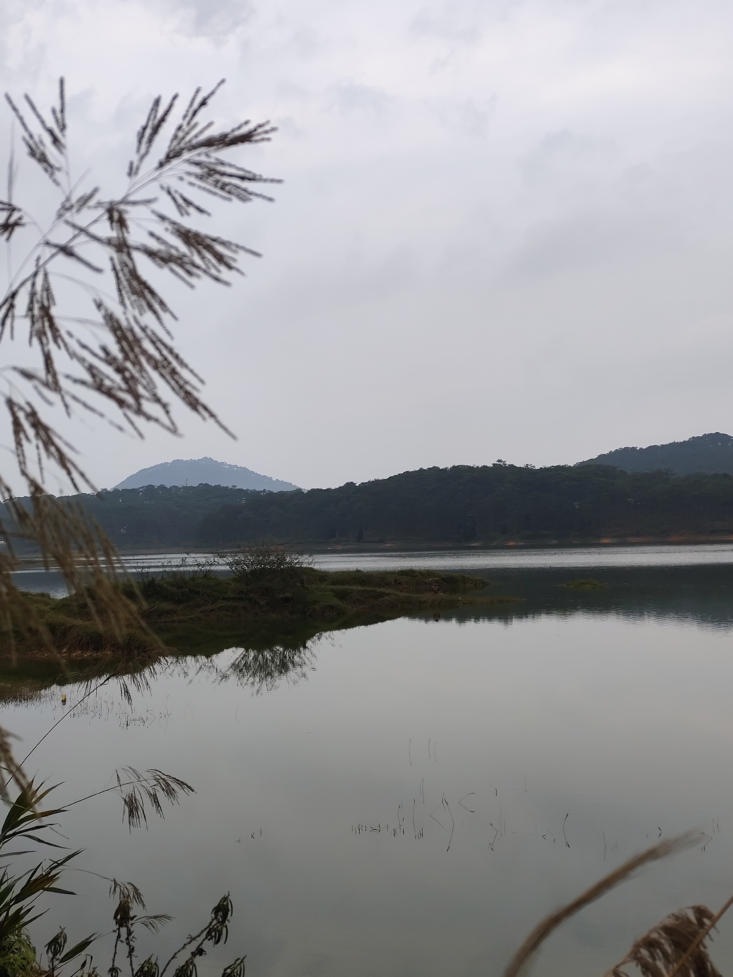 The image shows a serene lake view in Lam Vien - Da Lat, Vietnam. The still water reflects the overcast sky and distant tree-covered hills. The foreground is framed by out-of-focus tall grass and plants, partially obscuring the view. A small, bushy island is visible in the middle ground. A mountain with possibly a structure on top of it is seen faintly. The overall scene conveys a sense of tranquility and natural beauty.