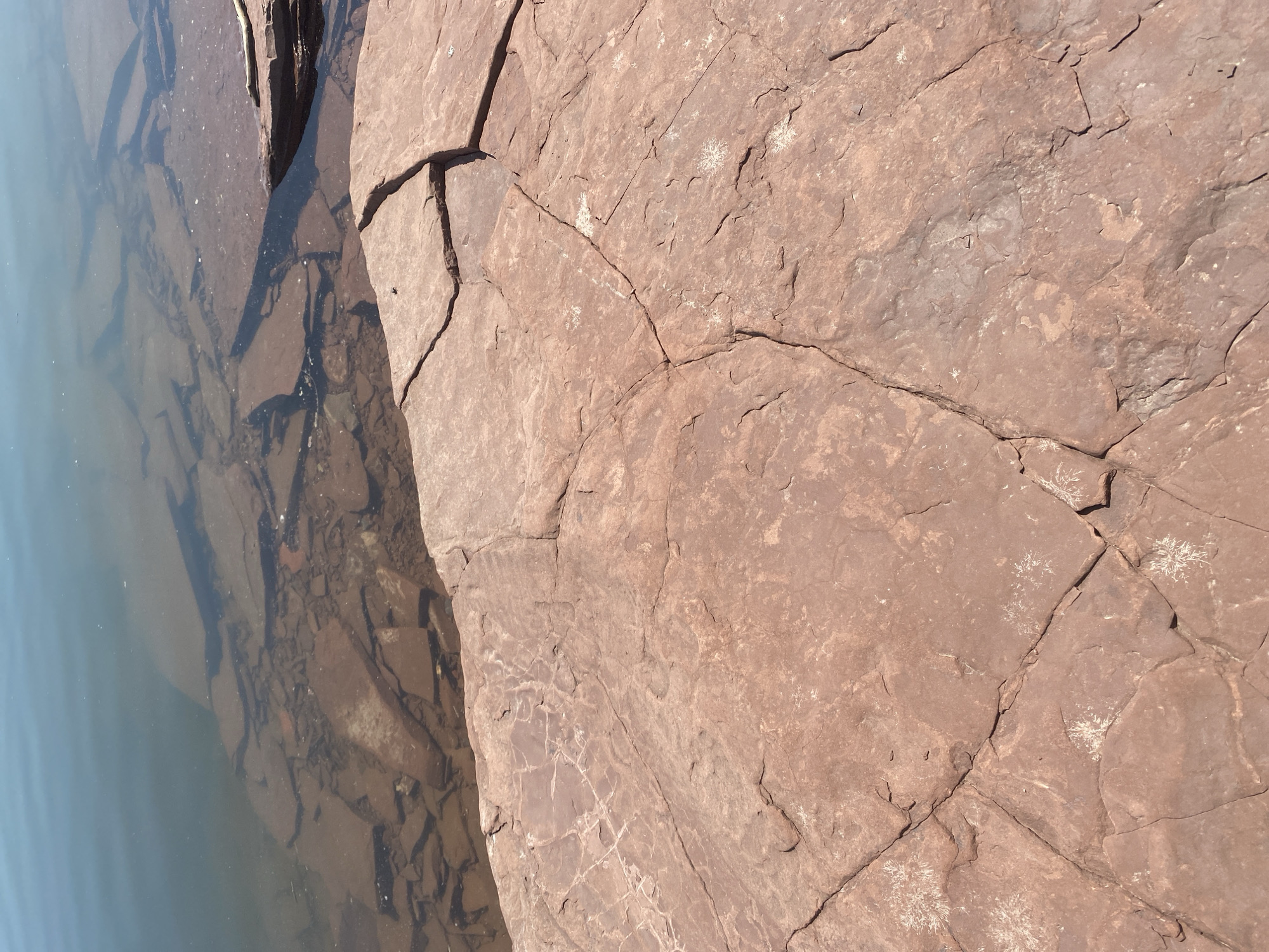 The image shows a close-up view of flat, reddish-brown rocks near the edge of clear water. The rocks are fractured with visible cracks. Some of the rocks submerged in the water appear as flat, dark shapes. The water surface is calm, reflecting the sky in a pale blue hue. There are small, white, star-shaped patterns on the surface of some of the exposed rocks. The scene depicts a natural outdoor environment, likely a lakeside or riverbank. There are no people or man-made structures visible in the image. The location is not specified as Ust'-Erba, Russia.