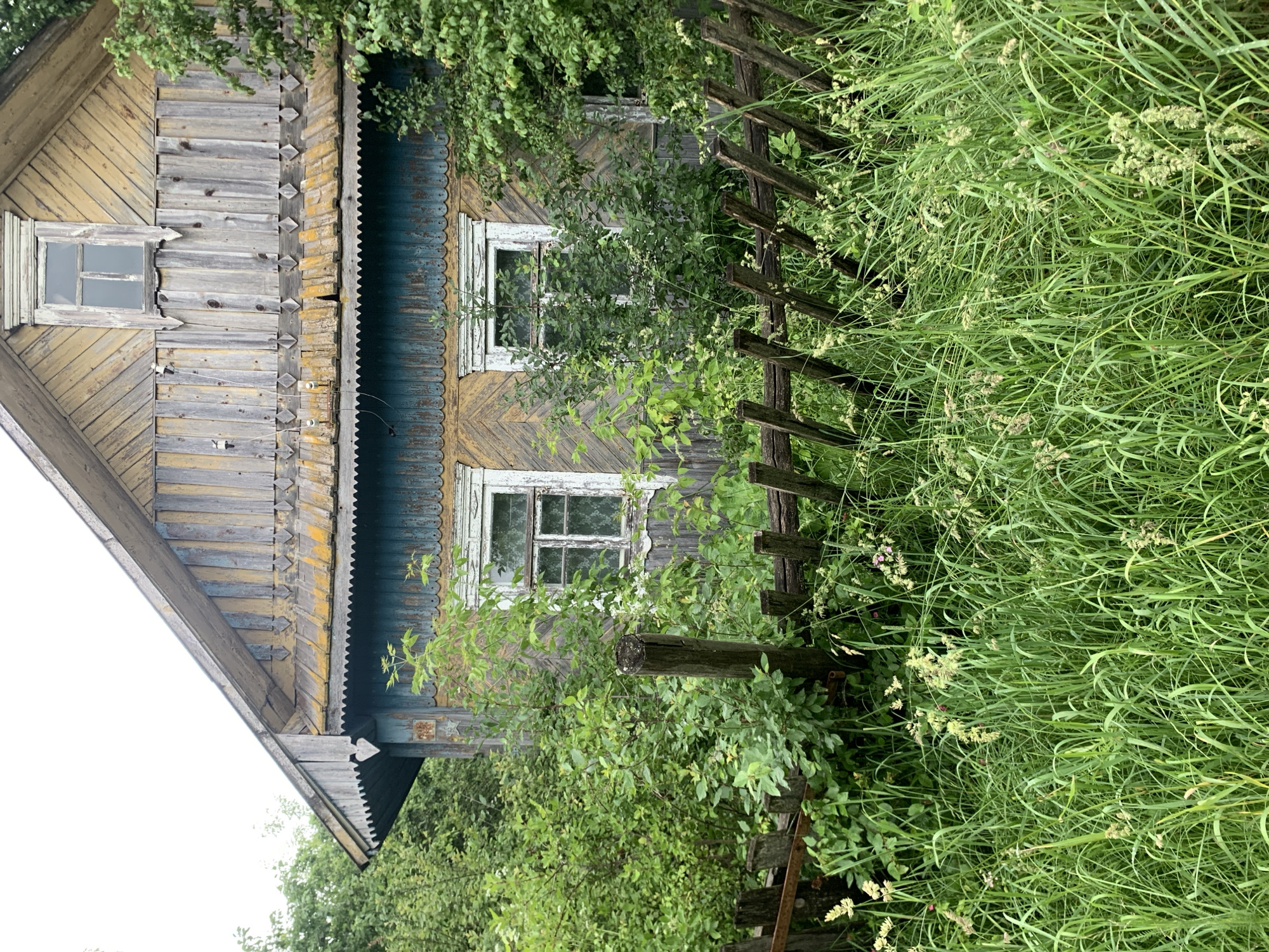 This is a medium-shot, eye-level, vertical photograph of an abandoned, weathered wooden house, possibly in the village of Блеўчыцкі сельскі Савет, Belarus. The house is partially obscured by dense, overgrown green vegetation, including tall grasses, bushes, and trees. The house itself has a steeply pitched roof with mossy, yellowed shingles. The facade is constructed of vertical wooden planks, painted yellow and blue, with peeling paint and evidence of age and decay. There are two windows visible on the lower story, each with white-painted wooden frames, that appear to be covered with a sheer, patterned curtain. Above these, there is a smaller, square window set into the gable. Decorative wooden trim, featuring a zigzag pattern and small diamond shapes, runs along the eaves and above the windows. In front of the house is a dilapidated, low wooden fence, made of rough-hewn posts and horizontal planks, also weathered and in disrepair. The ground is covered in a thick layer of tall, green grass with some flowering weeds. The sky is overcast and white. The overall impression is one of neglect and nature reclaiming the property.