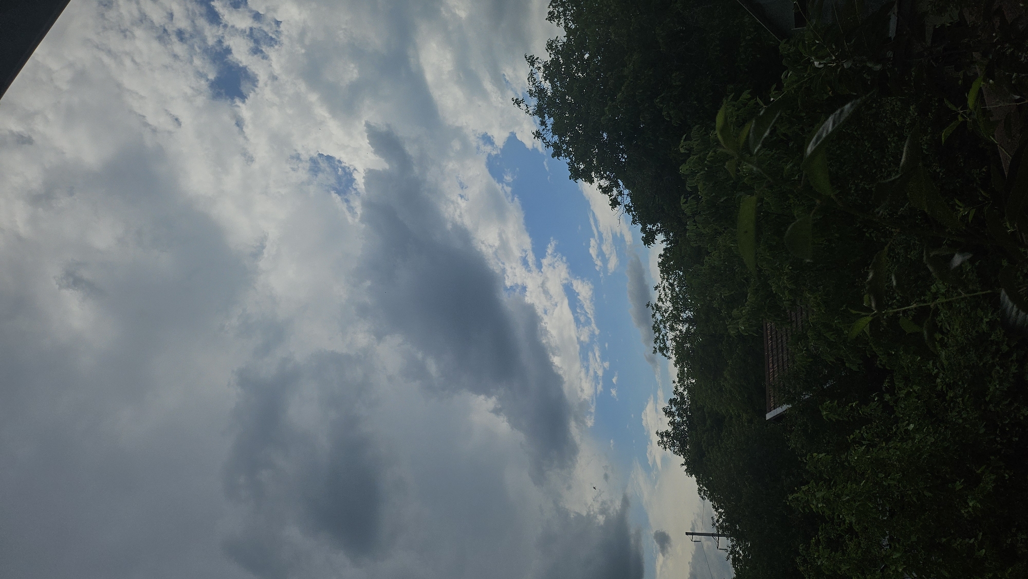 The image captures a sky filled with a mix of dark, heavy clouds and patches of bright blue sky with white, wispy clouds. Below the sky, a dense canopy of lush green trees dominates the scene. A portion of a building with a brown tiled roof is visible peeking through the foliage, suggesting a semi-rural or suburban setting. A utility pole with wires is also present on the left side of the image, further indicating a developed area. The overall atmosphere is moody, with the dramatic cloud formations suggesting potential for rain. There are no people visible in the frame.