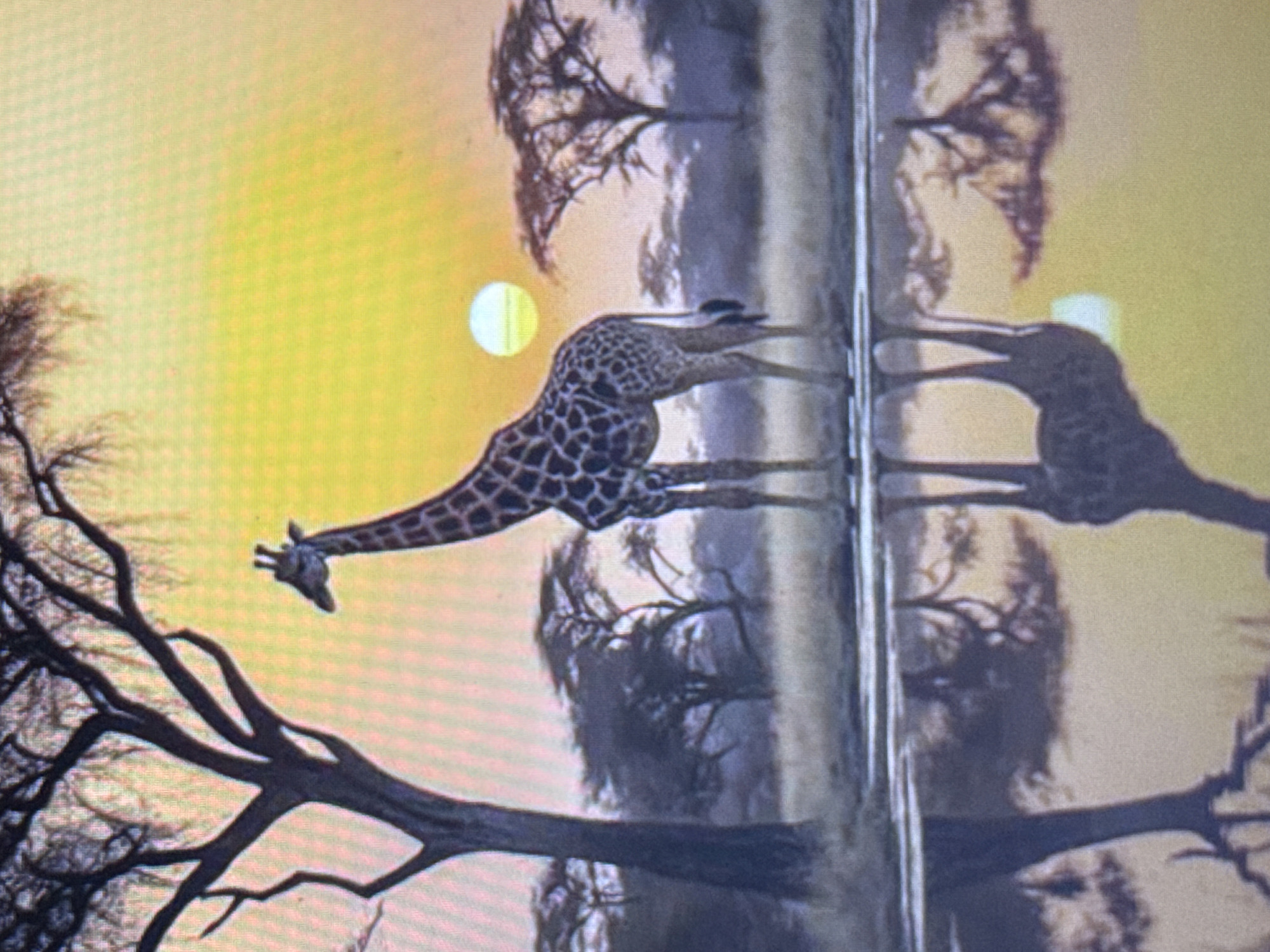 This media file is a photograph depicting a giraffe with its head lowered to drink from a reflective body of water. The giraffe has a distinctive spotted pattern on its coat. Its reflection is clearly visible in the water. In the background, silhouetted trees with bare branches are present, suggesting a savanna-like environment. The sky is a bright yellow-orange, with a circular, pale yellow object, likely the sun, low on the horizon. This lighting and the warm sky indicate that it is either sunrise or sunset. The scene is tranquil and serene. There is no visible text in the image. The location context of Pushkino, Russia, is not directly evident from the visual cues in the image itself, which appears to be a natural landscape.