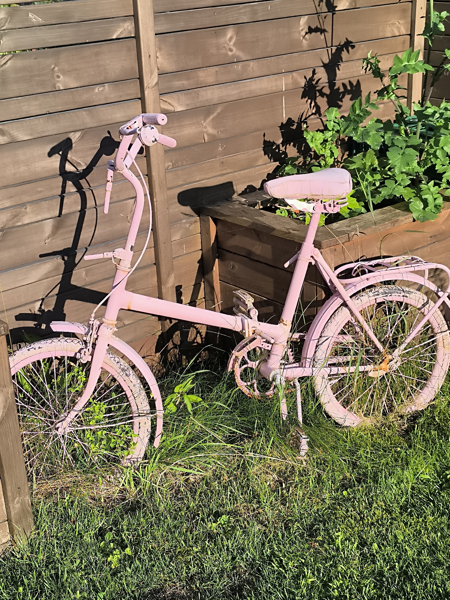 A vintage pink bicycle is parked on a grassy area in front of a wooden fence in Dercekliai, Lithuania. The bicycle has a worn appearance, with some rust visible on the spokes and chain. It is leaning against the fence, and its shadow is cast on the wooden planks. Lush green plants grow in a wooden planter box behind the bicycle. The scene is bathed in sunlight, creating strong shadows. The overall impression is one of a quiet, possibly abandoned, outdoor space.