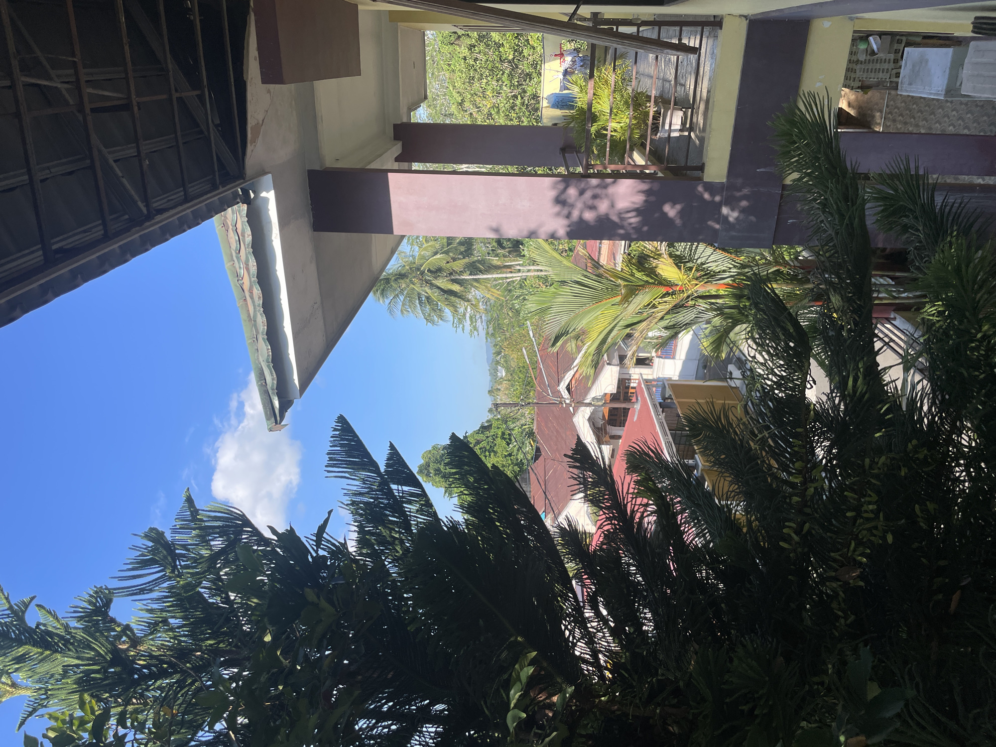 A photograph captures a view from a balcony in Manado, Indonesia, looking out over a residential area and lush greenery under a bright blue sky with scattered clouds. In the foreground, a large, dark green pine tree with needle-like leaves partially obscures the view. The balcony itself features a purple-painted pillar and a railing. Beyond the balcony, a cluster of houses with red and brown tile roofs are visible, nestled among palm trees and other dense vegetation. In the distance, a hazy horizon suggests a slightly mountainous or hilly landscape. The overall impression is one of a tropical, urban environment bathed in sunlight.