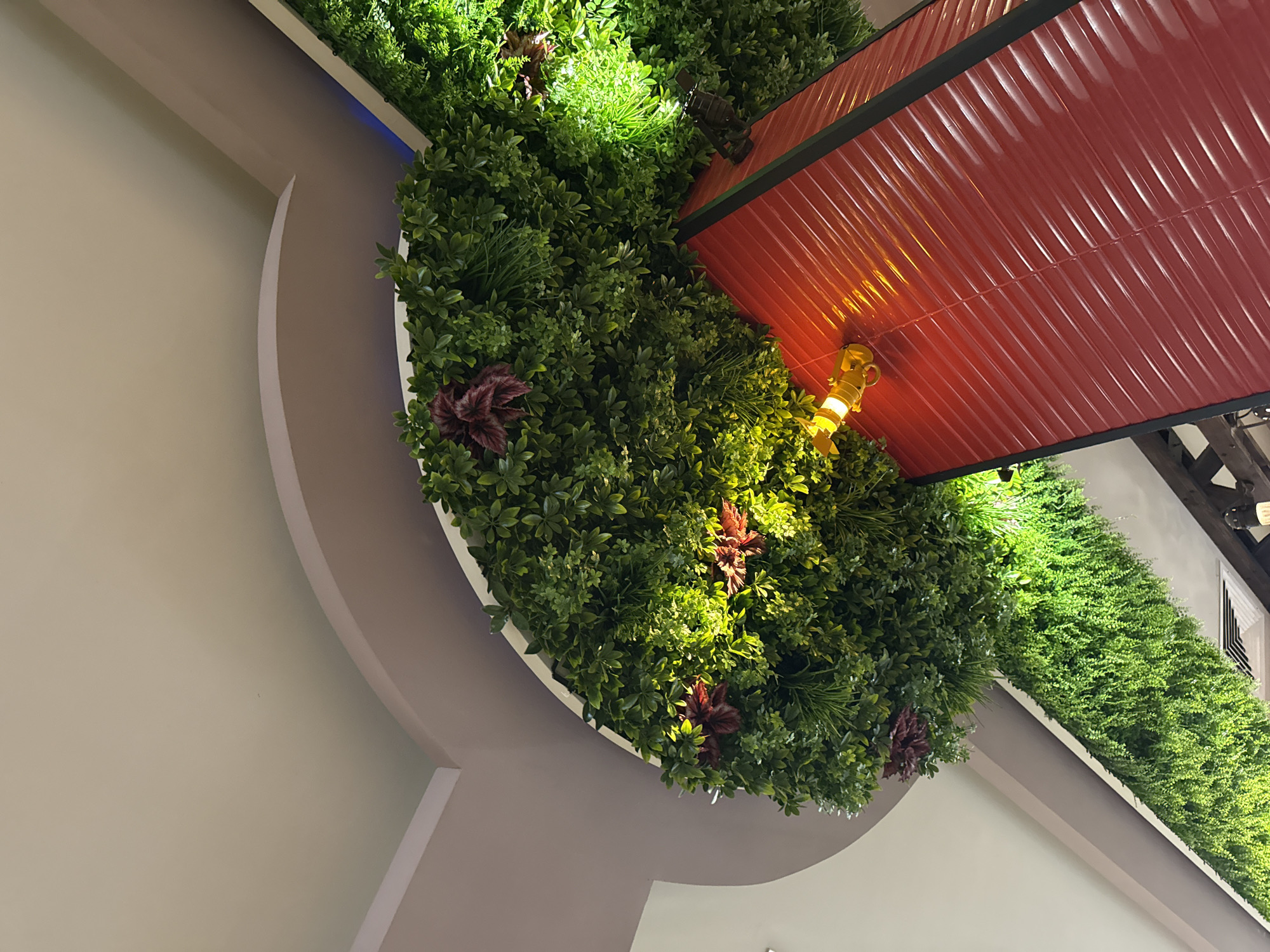 The image captures an upward view of an interior architectural and decorative installation in an unspecified commercial or public establishment. A prominent feature is an extensive arrangement of artificial greenery, designed to mimic a vibrant plant wall or hanging garden.
In the upper portion, a large, dense, curved section of artificial green foliage, comprising various leaf shapes and textures, is illuminated by warm yellow spotlights. Interspersed within this green are several clusters of dark reddish-purple artificial leaves. Adjacent to this, in the upper right, more dense green foliage is brightly lit, showing strong highlights. A subtle blue LED light strip runs along the edge of a light gray curved soffit feature, which is bordered by a white trim. Above the soffit, a pale beige ceiling is visible.
In the lower-central and right areas, a large, vertical, rectangular structure with a ribbed or corrugated red surface is present. This surface strongly reflects warm yellow light from an adjacent fixture, creating diagonal patterns of light and shadow. A yellow, cylindrical spotlight fixture is mounted on the red surface in the lower left of this element, directing light upwards onto the greenery. The red structure has dark, possibly black, framing along its visible edges.
Extending diagonally from the left-center towards the lower-middle is a long, linear mass of hanging artificial green vines or plants, forming a dense curtain, also illuminated by warm light. Below this hanging greenery, a portion of a dark wooden beam and a metallic air vent are partially visible, confirming an indoor environment. No individuals are depicted in the scene.