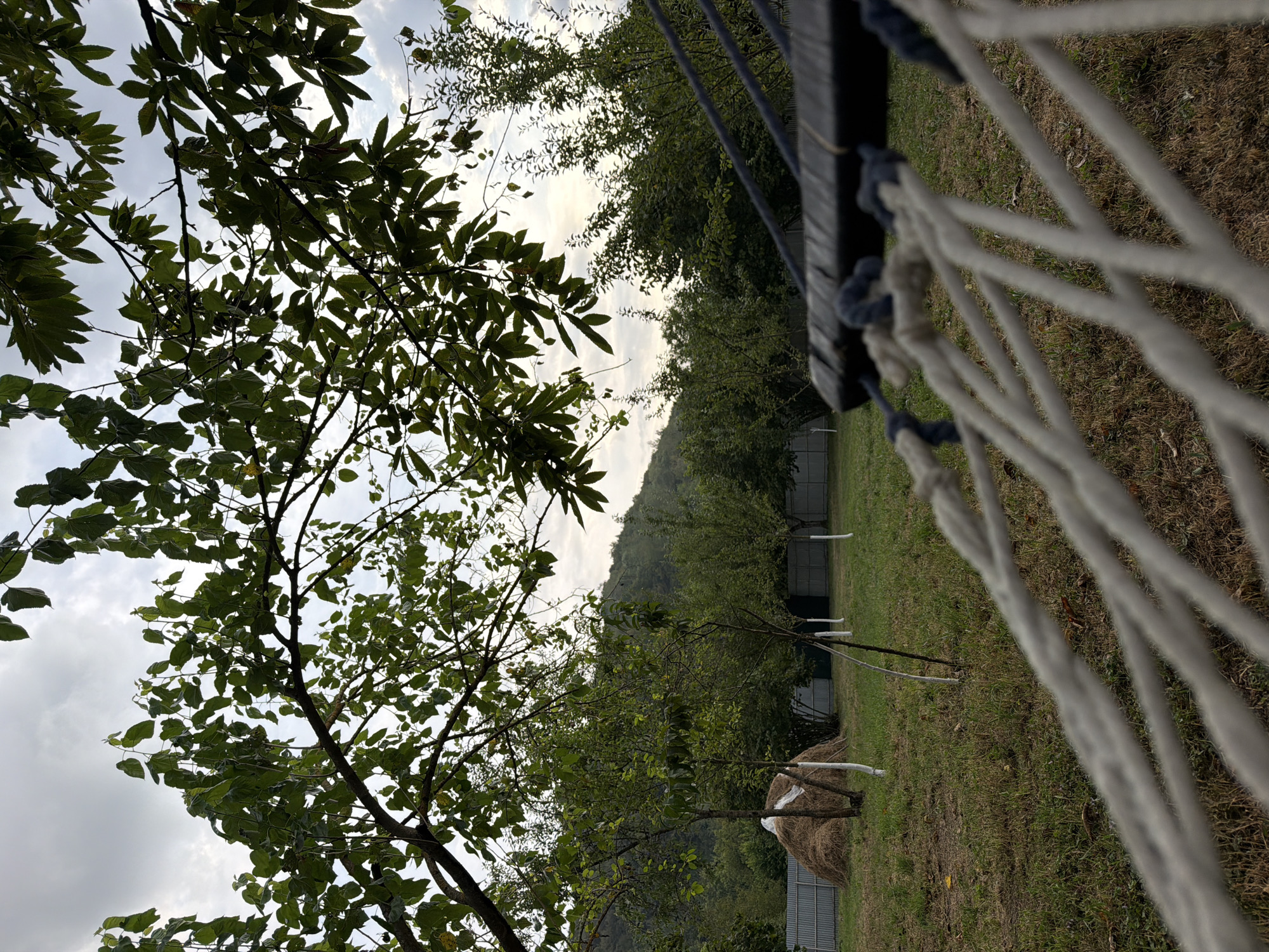 The image depicts a serene outdoor scene, likely a backyard or garden, with a hammock in the foreground. The hammock's rope and wooden frame are visible, suggesting it is set up for relaxation. Beyond the hammock, a grassy area is dotted with trees and a large haystack wrapped in white material, possibly for protection from the elements. A metal fence runs along the background, separating the property from a wooded area and a gently sloping hill covered in trees. The sky is overcast, with diffused light filtering through. The environment suggests a rural or semi-rural setting, consistent with the location of Vəndam, Azerbaijan, known for its natural beauty and agricultural landscape. There are no people visible in the image.
