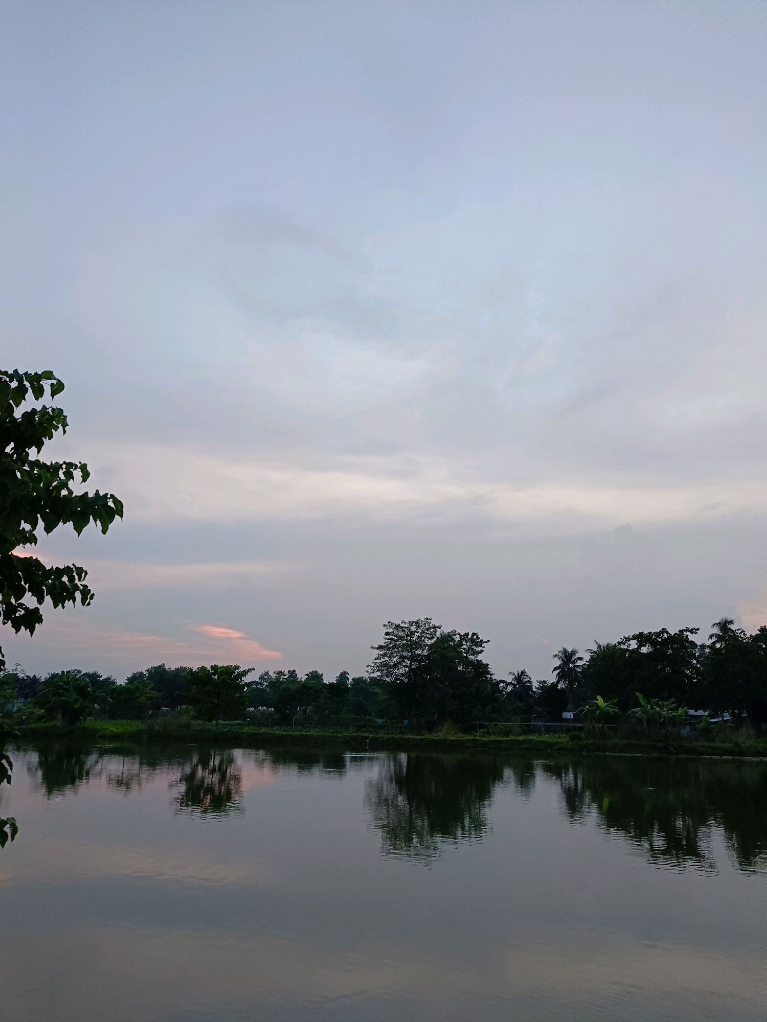 The image depicts a serene natural landscape, likely located near a body of water in the city of Barpeta, India. The foreground features a calm pond or lake, reflecting the sky and the trees on its bank. On the left side, the dark green foliage of a tree hangs into the frame, partially obscuring the view. The middle ground is dominated by a line of lush green trees and vegetation along the water's edge, with a few structures faintly visible behind them. The background is filled with a vast, cloudy sky, with subtle hints of pink and orange in the distance, suggesting either dawn or dusk. The overall atmosphere is tranquil and natural, characteristic of rural or semi-rural settings within Barpeta. There are no people or animals visible in the image.