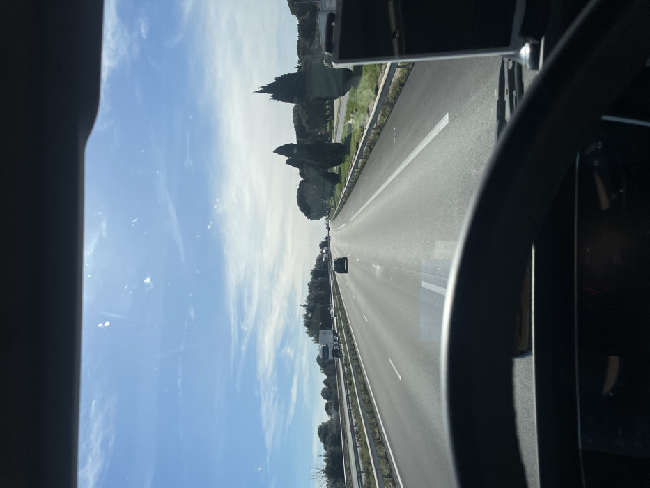 The image displays a daytime scene from the driver's perspective inside a vehicle traveling on a multi-lane highway near Tavel, France. The lower portion of a dark gray steering wheel and a dark dashboard occupy the foreground, with a dark rectangular device mounted to the lower right. The windshield shows sunlight glare and minor smudges. The asphalt highway, marked with white lines, recedes into the distance under a bright blue sky with scattered white clouds. Several vehicles are visible, including a dark passenger car in the left lane ahead and a white semi-truck further back. Metal guardrails separate the highway from the verges. The surrounding environment features green vegetation, including dense treelines on the left and distinctive tall, conical trees mixed with rounded trees on the right. No human figures are explicitly visible.