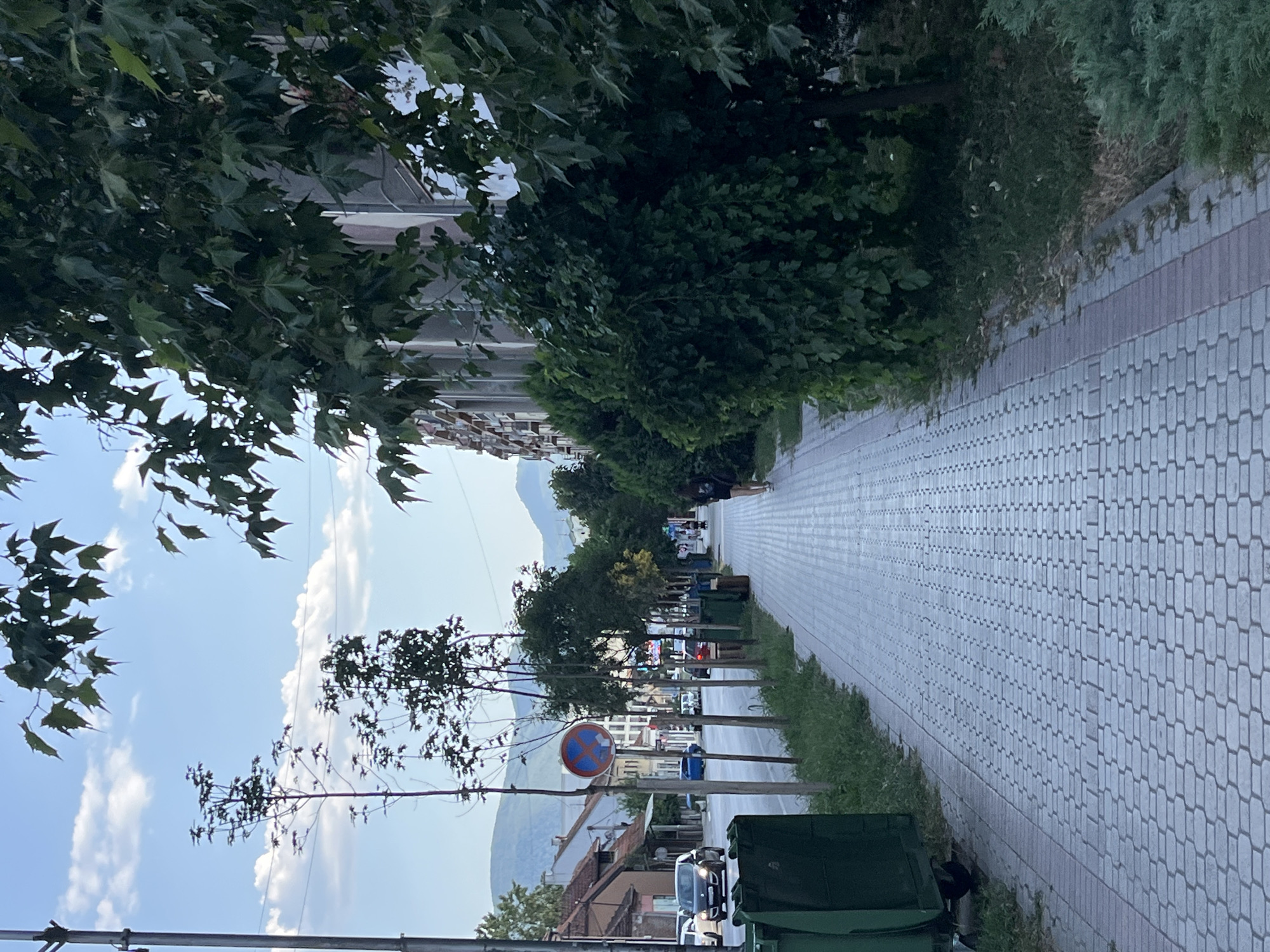 The image depicts a sidewalk on a street in Cacak, Serbia. A person is walking away from the camera down the sidewalk, which is paved with light-colored hexagonal bricks. To the left of the sidewalk, there is a street with cars driving by, and further left, buildings and some trees are visible. To the right of the sidewalk, there is a row of trees and bushes, with a multi-story building behind them. Green trash bins are placed along the side of the sidewalk. In the background, mountains can be seen under a partly cloudy sky. A traffic sign indicating no stopping is visible on the left side of the street.