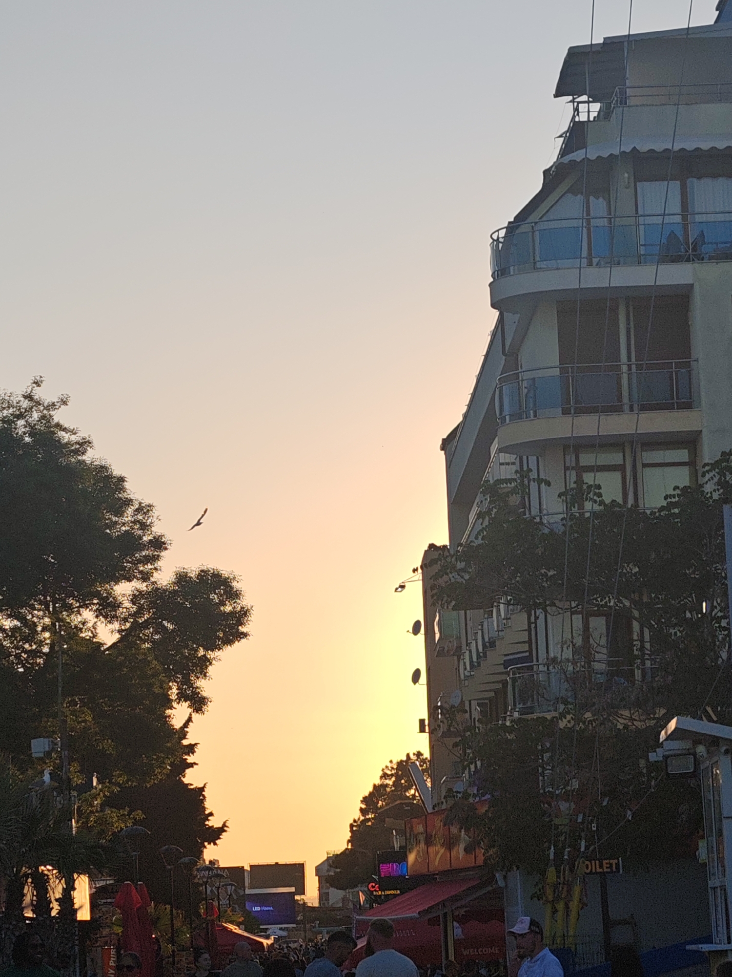 The image captures a sunset scene in what appears to be Nesebar, Bulgaria, based on the architecture and tourist-oriented features. The sky is bright with the sunset, ranging from pale yellow to orange.
On the left, trees are silhouetted against the sky. A bird is flying in the central part of the image.
On the right, a multi-story building with balconies is visible. Satellite dishes are mounted on the side of the building.
Below, there's a street scene with a crowd of people. Red awnings and commercial signs suggest a tourist area with shops and restaurants. A sign labeled "TOILET" is also visible.
