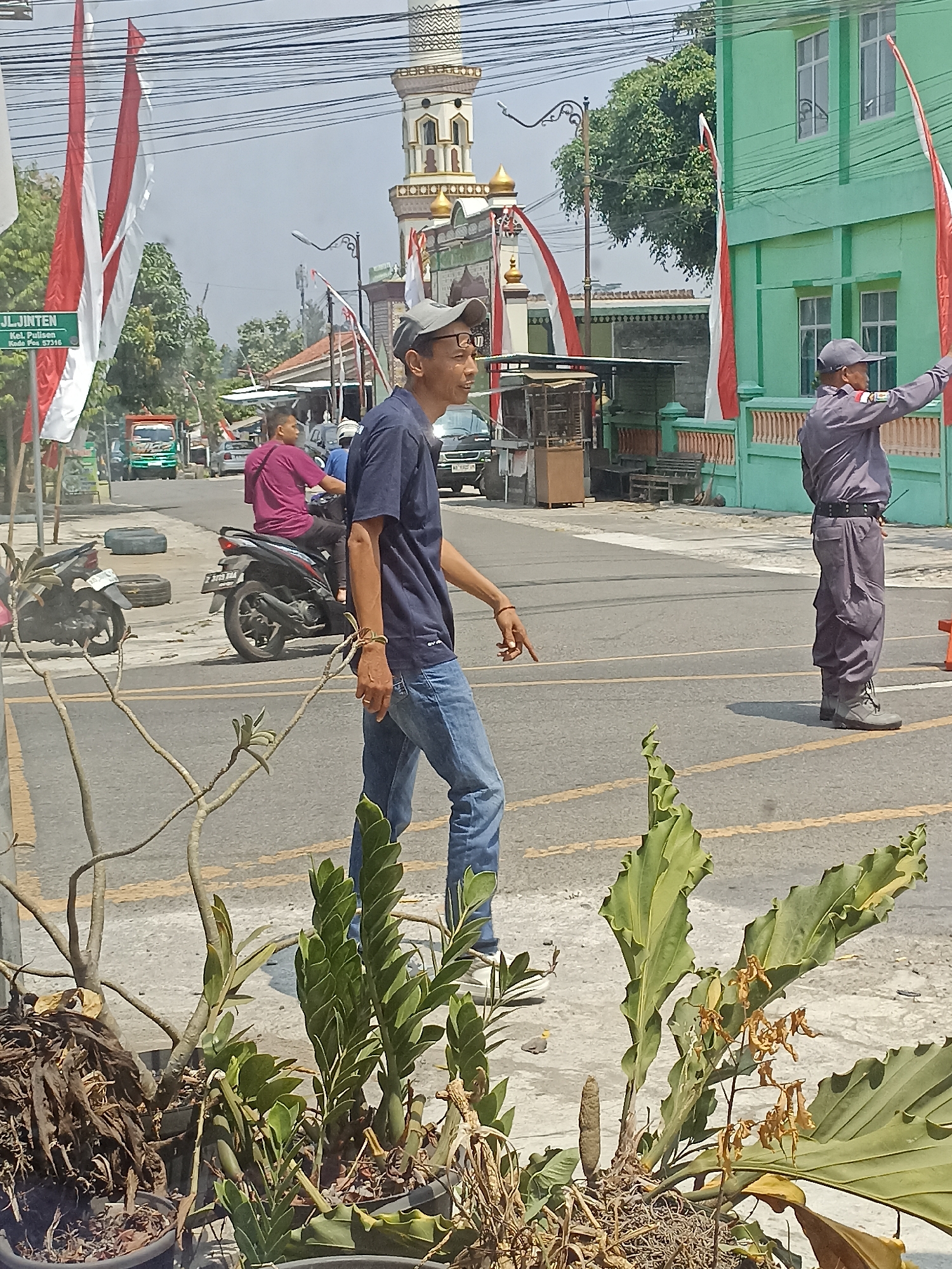 The image depicts a street scene in Pulisen, Indonesia, on a sunny day. In the foreground, several potted plants are visible, with some dried foliage and vibrant green leaves. A man wearing a navy blue t-shirt, blue jeans, and a baseball cap is walking across the street, facing right and looking towards the right side of the frame. His right hand is extended and pointing downwards. To his right, a person in a gray uniform with a cap is standing in the street, facing left and holding their right arm outstretched, possibly directing traffic. Behind the uniformed person, a green building with white-trimmed windows is visible, adorned with red and white flags. Further back, a mosque with a tall minaret and a golden dome is present. A motorcycle is parked on the side of the road, and another motorcycle with a rider in a burgundy shirt is in motion on the street. A green truck is also visible further down the road. A street sign with the text "JL. JINTEN" is posted on the left side of the image. The street is paved with yellow lines marking traffic lanes.