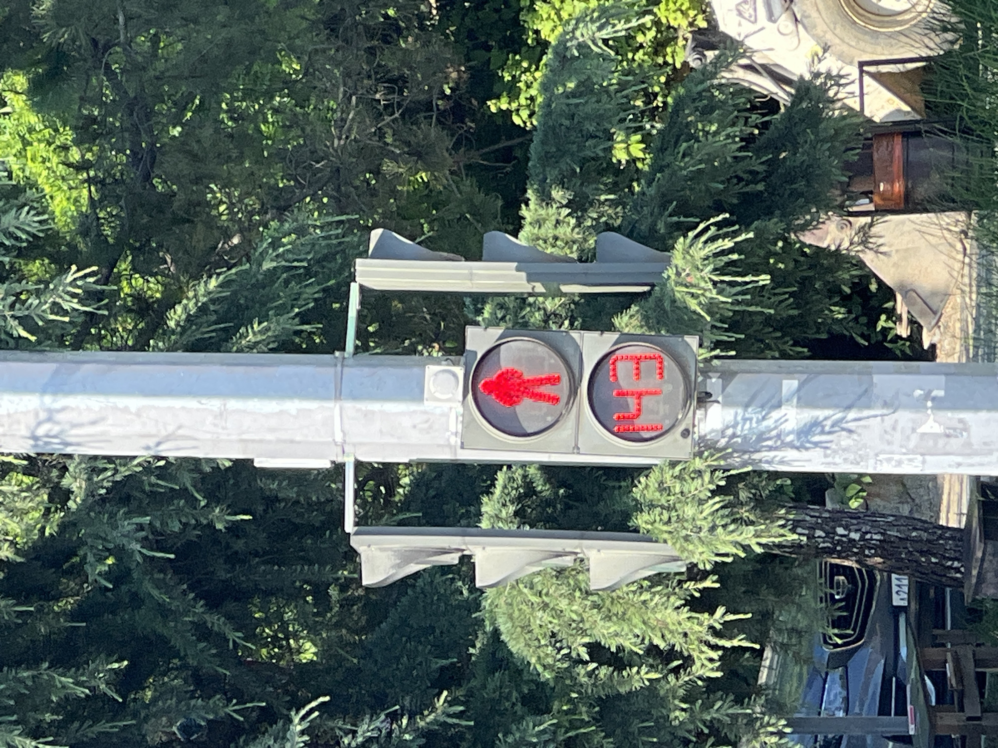 The image shows a traffic light with two illuminated signals. The left signal displays a red silhouette of a person walking. The right signal displays the red Japanese characters "止" (tome), which means "stop". The traffic light is mounted on a white pole and is surrounded by lush green trees. The sun is shining, casting shadows on the traffic light and the surrounding foliage, suggesting it is daytime. The scene appears to be outdoors, possibly in a city or suburban area in Sochi, Russia, given the context provided. There are no people clearly visible in the image, other than the silhouette on the traffic light. The overall mood is neutral, as it is a straightforward depiction of a traffic signal.