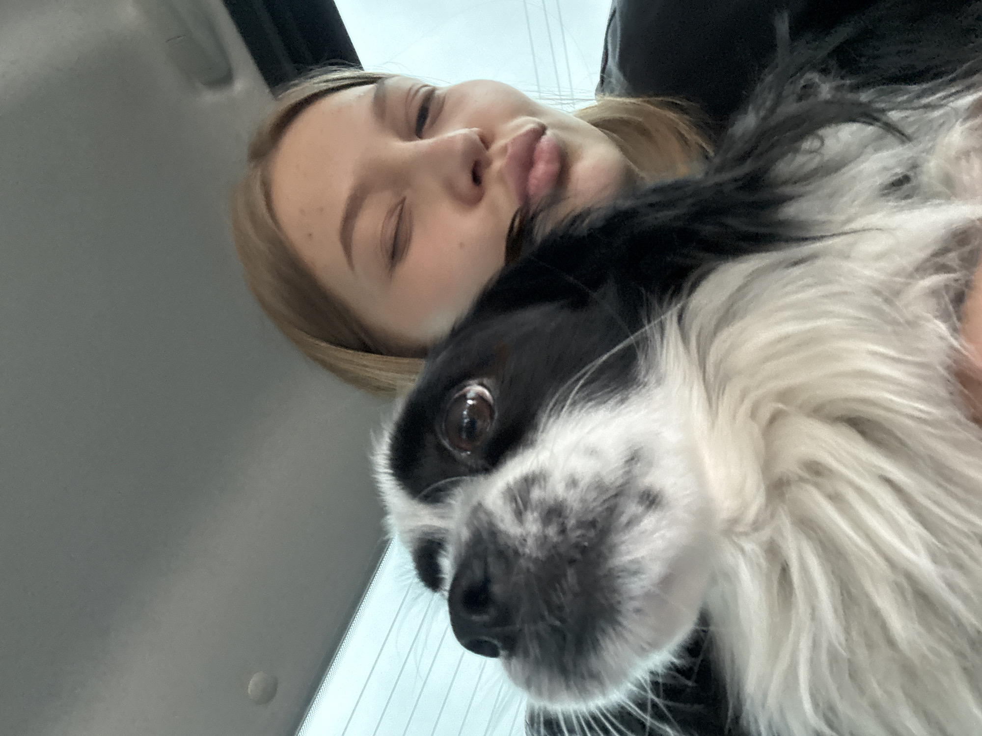A close-up, diagonal selfie captures a young person and a black and white dog in an intimate moment. The person, positioned in the upper left, has light brown hair and is seen from the forehead to the chin. Her eyes are closed or squinting, and her lips are slightly puckered in a playful or affectionate expression. The dog, a small, long-haired breed with distinctive black and white markings, dominates the right side and foreground of the frame. One of its large, dark eyes is wide open, gazing directly towards the camera, conveying curiosity or alertness. Its nose and whiskers are clearly visible, and its fur appears soft and fluffy.
The setting appears to be an indoor space, likely within a vehicle, suggested by the light grey, textured ceiling visible in the upper left quadrant. A bright, light blue or white area in the background, possibly a window, provides soft, ample daylight, indicating it is daytime. The composition highlights the close bond between the person and their pet, with both subjects positioned very near the camera. There is no visible text. This tender scene is captured in Chaikovsky, Russia.