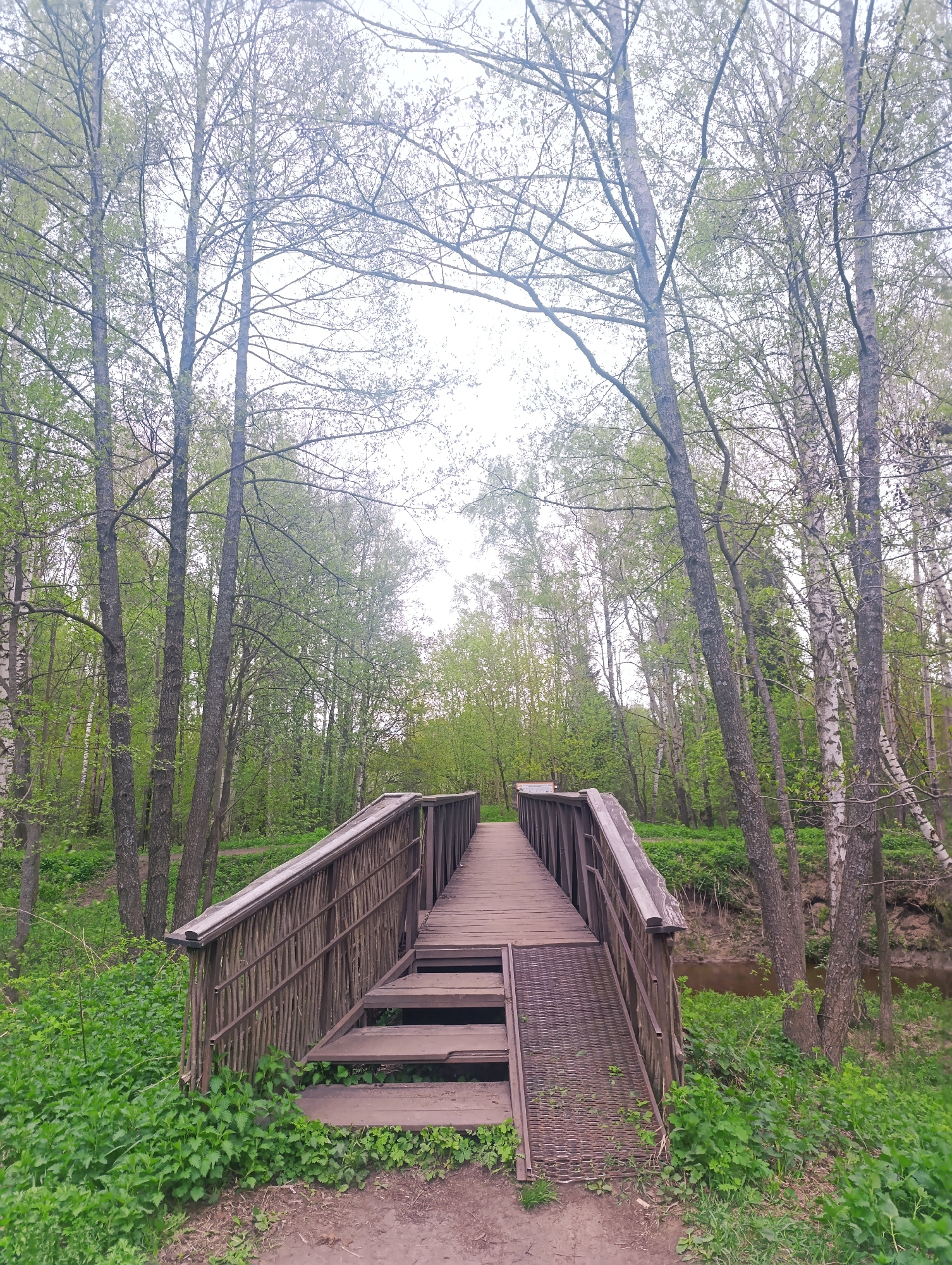 A wooden bridge in a park setting. The bridge has wooden planks for the walkway and wooden railings on both sides. At the entrance, there are a few steps and a metal ramp. Lush green vegetation surrounds the bridge, with tall trees lining the path. The sky is overcast.