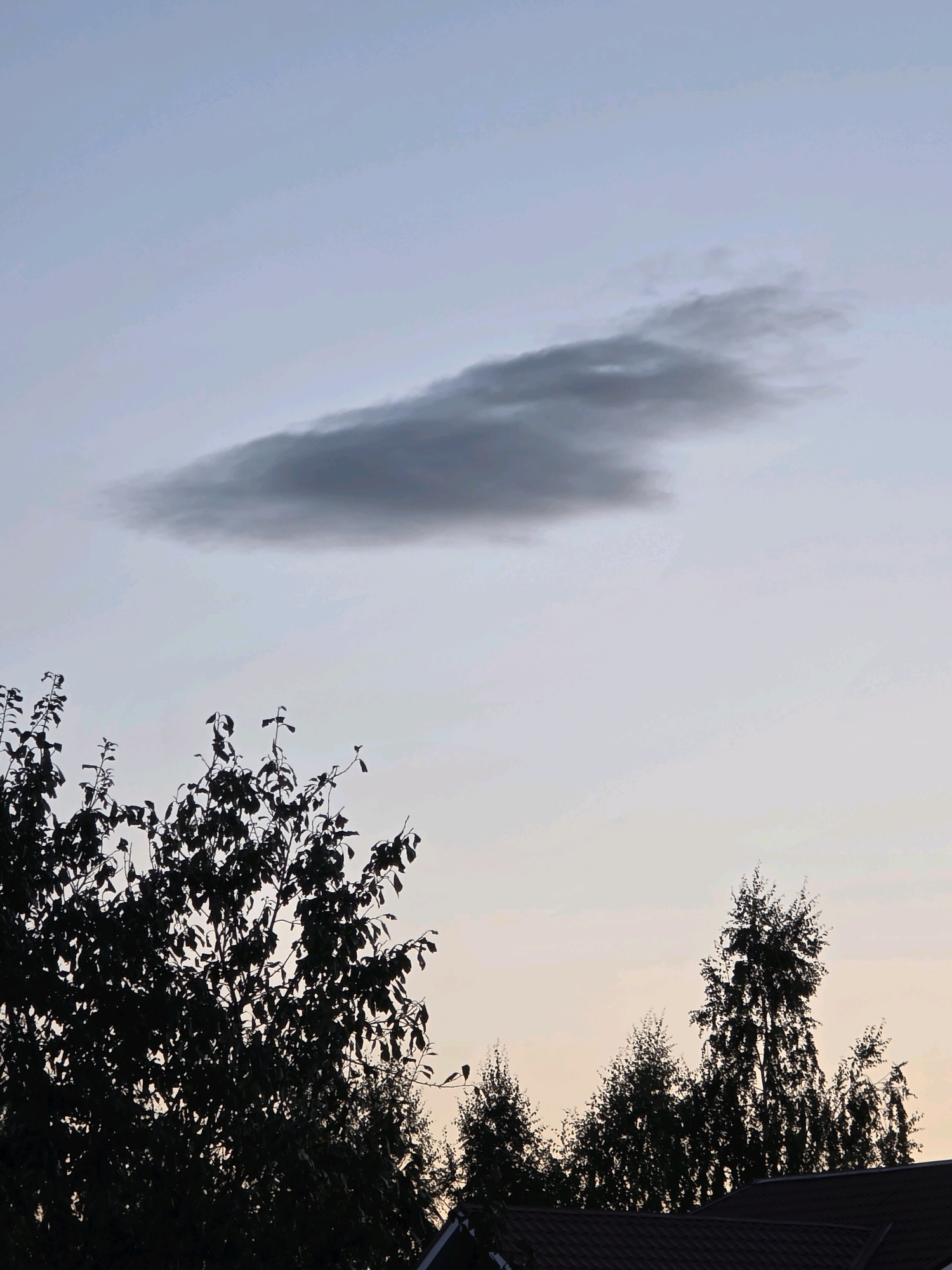 A lone, elongated, dark grey cloud is visible in the pale blue sky. Silhouetted trees with dark foliage are in the foreground, with a portion of a dark brown, tiled roof visible at the bottom right. The image appears to be a photograph taken in the city of Rezhitsy, Russia.