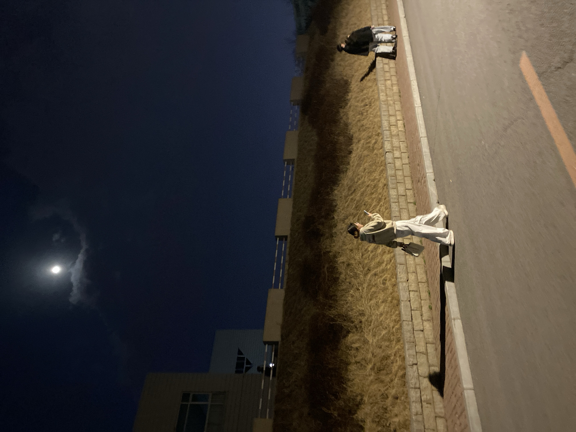 At night in Zhongtun, China, two individuals are present alongside a road. One person stands on the sidewalk, wearing light-colored clothing. The other sits further down the road. A building and tall grass border the sidewalk. The moon is visible in the sky.