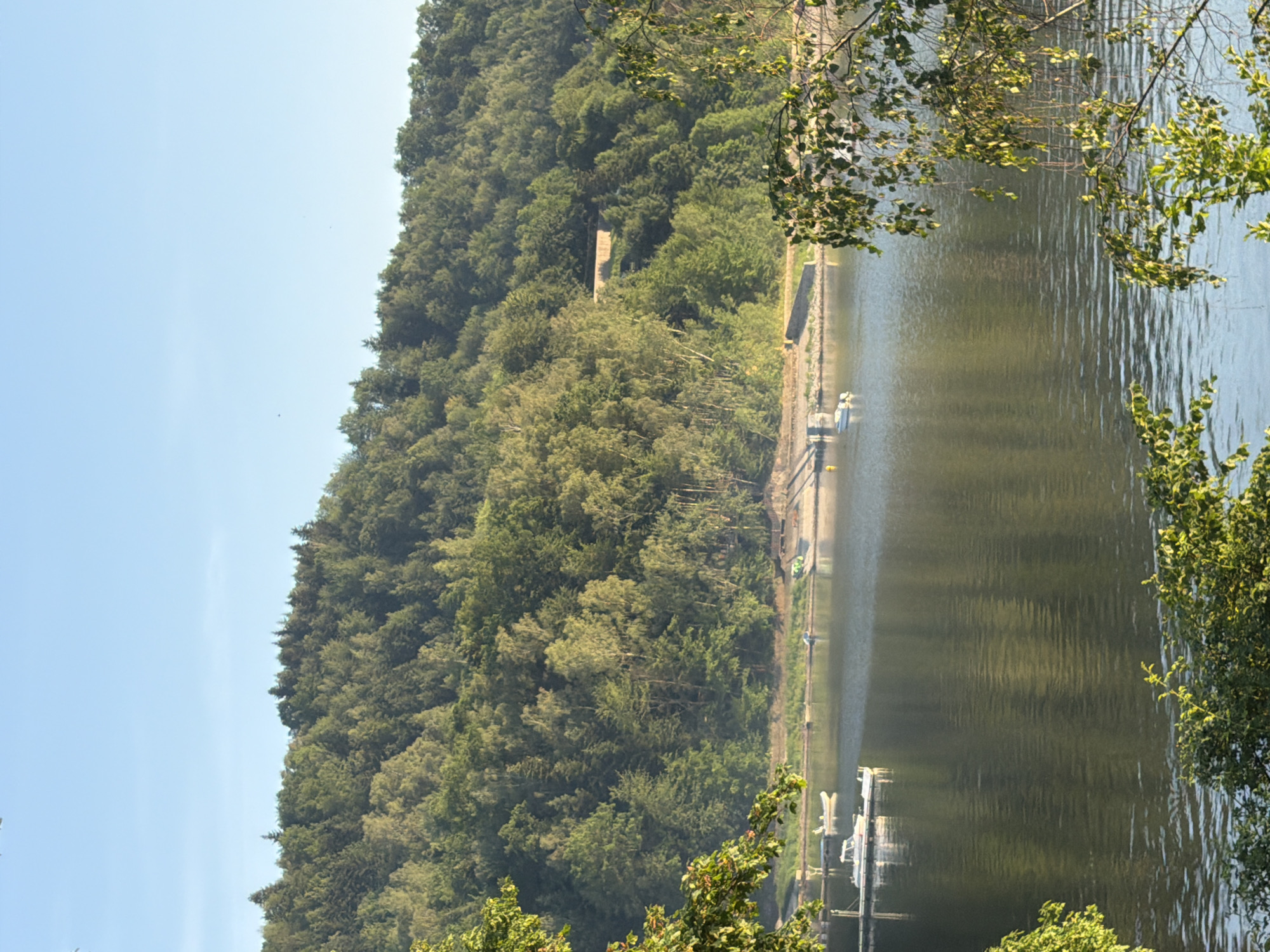The image shows a serene landscape with a body of water in the foreground and a lush, forested hill in the background. The water reflects the clear blue sky and the green foliage. Several small boats are visible on the water, some near a dock. The hillside is densely covered with trees, creating a textured green mass. The lighting suggests it is either early morning or late afternoon, with soft sunlight illuminating the scene. The location is identified as Lipie, Poland.
