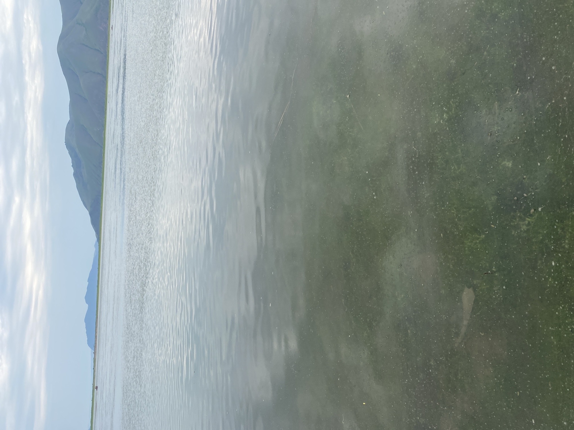A wide, calm body of water reflects a cloudy sky. In the distance, green, rolling hills rise against the horizon. The foreground of the water is murky and appears to have algae or aquatic vegetation. There are no people or animals visible in the image. The scene is likely a natural landscape.