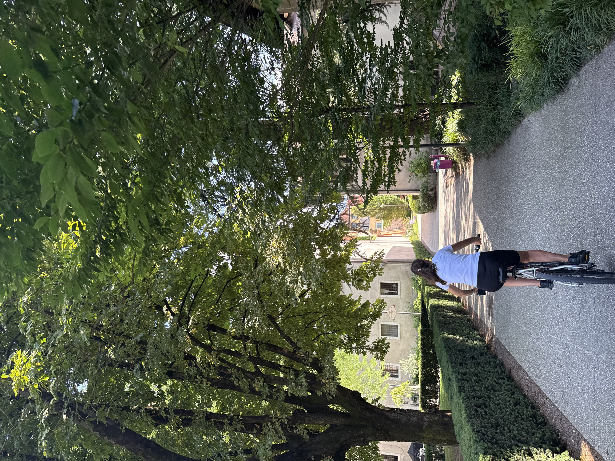 A young girl with dark hair, wearing a white t-shirt and black shorts, rides a bicycle on a paved path. She is viewed from behind, and the path appears to be in a park or garden area. She is cycling away from the camera, down a tree-lined path. To the left of the path, there is a neatly trimmed green hedge. Further to the left, a large tree with a thick trunk shades a portion of the path. In the background, buildings with windows and tile roofs are visible. One building has a sign that reads "Terrarama". The overall scene is lush and green, suggesting a temperate climate and likely a sunny day. The architecture and the sign suggest the location could be within the city of Trento, Italy.