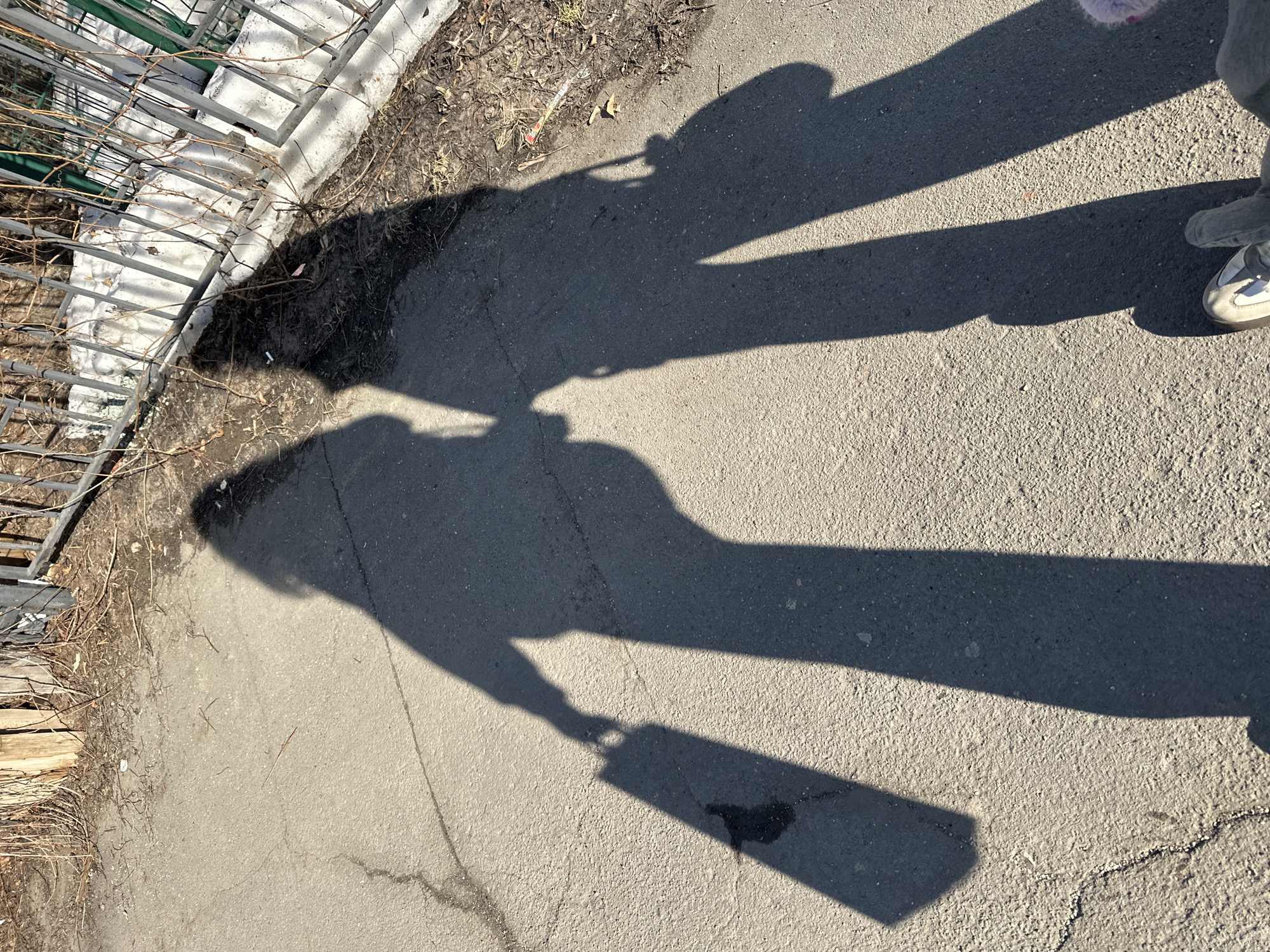 The image presents a ground-level view of a paved area in Kazan, Russia, under direct sunlight. Two prominent, elongated shadows of individuals are cast onto the cracked grey asphalt pavement. The left shadow depicts a figure holding a rectangular object in their right hand, while the right shadow shows a figure carrying a rounded object on their right side. A third individual's partial foot, wearing a light-colored sneaker with grey accents, is visible at the bottom of the frame, indicating the photographer's position. The background features a low white concrete barrier surmounted by grey vertical metal bars, behind which is a patch of dry soil with bare branches and sparse vegetation. Minor debris is scattered across the ground and near the fence line.