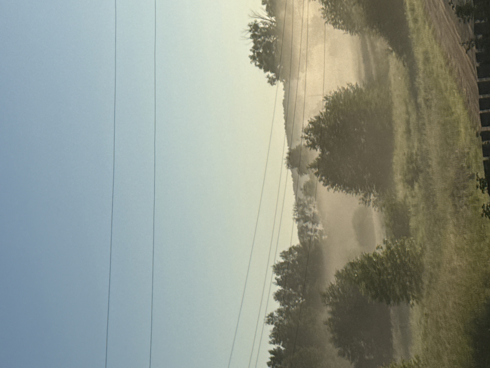 This is a vertical, medium-shot photograph of a misty landscape with trees and power lines. The sky is a pale blue, transitioning to a lighter hue near the horizon. Three parallel power lines stretch horizontally across the upper portion of the image. Below the power lines, a line of trees is silhouetted against the hazy background. The foreground consists of a grassy field, with a dirt road visible on the right side, leading into the distance. The mist obscures the details of the trees and landscape, creating a soft, diffused effect. No people or specific landmarks indicating the city of Уральское, Russia are visible.