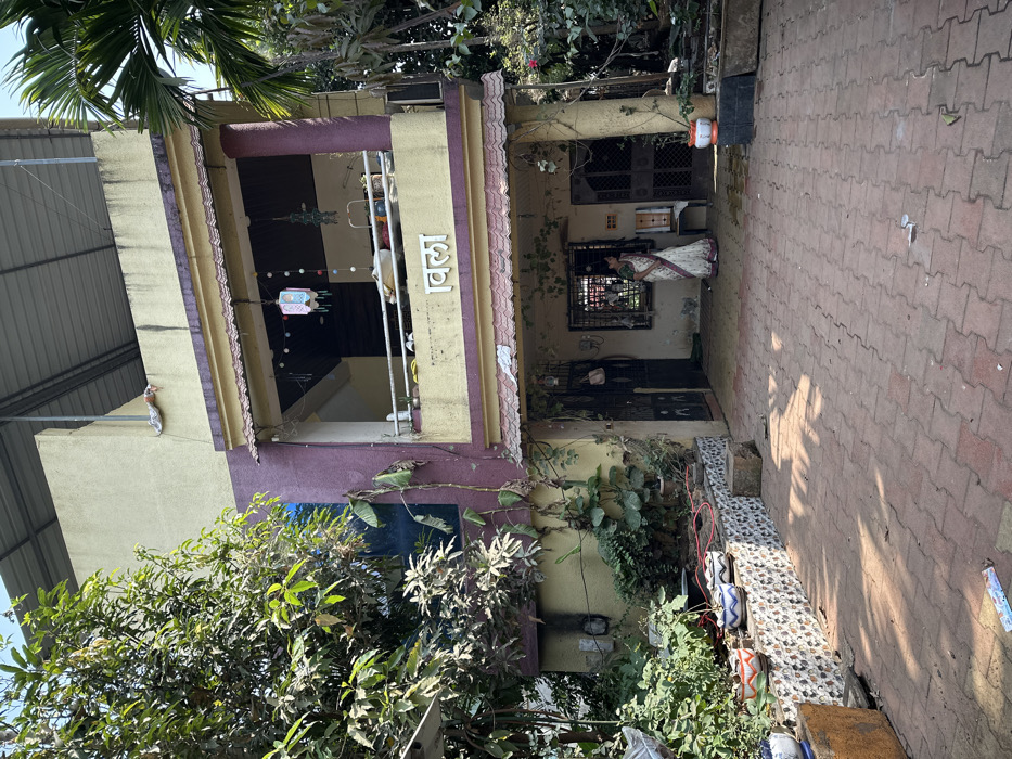 A two-story building with a partially visible flat roof sits amidst greenery. The building is painted in a combination of yellow and purple hues, featuring a balcony on the upper floor with a sign in a local language. A woman is visible standing by a window near the entrance. A tiled pathway stretches from the building towards the right. The overall scene is well-lit, suggesting a sunny day.