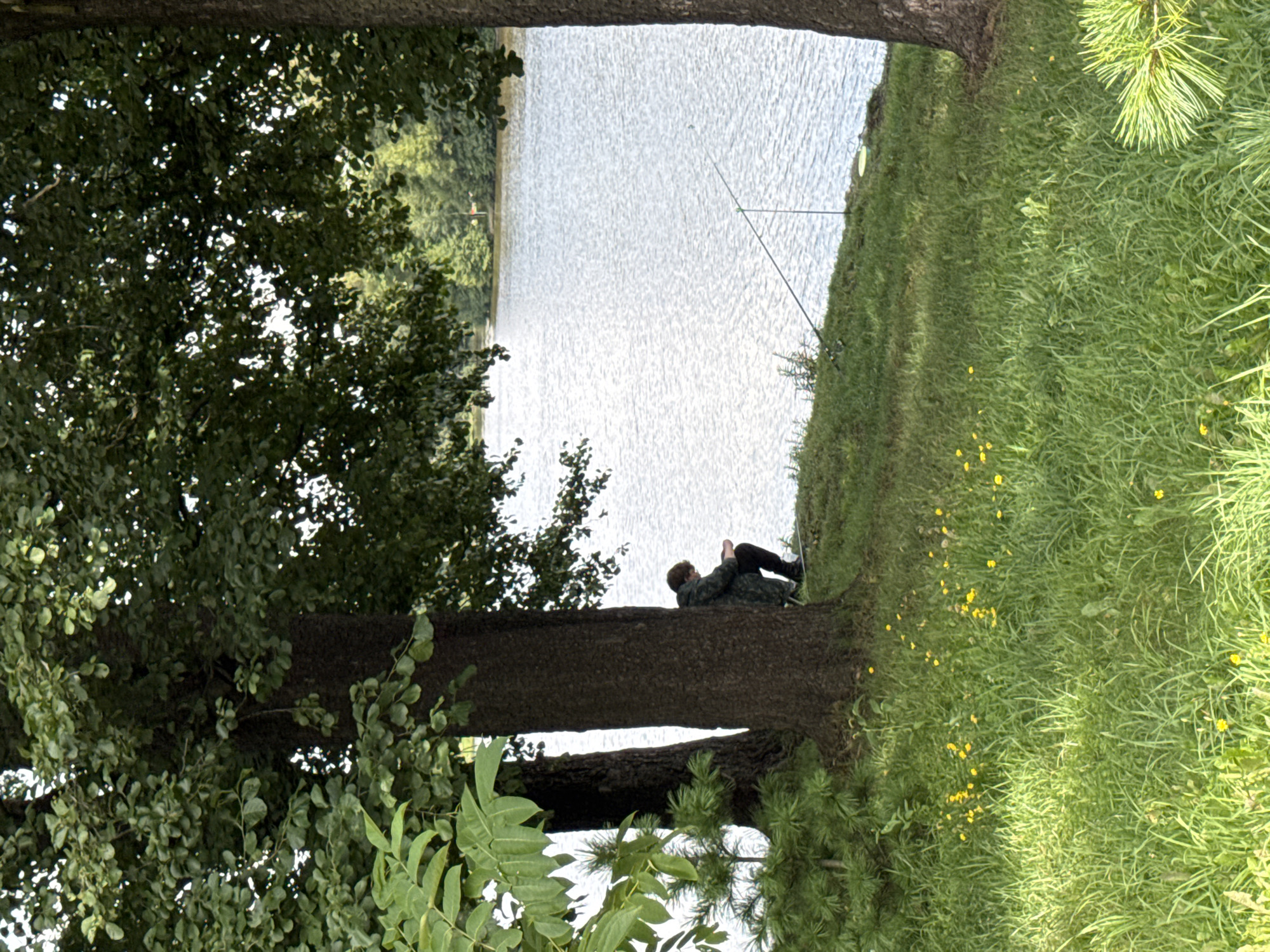 A person sits on a grassy embankment by a body of water, leaning against a tree trunk. The person is wearing a camouflaged jacket and dark pants, and is looking down at something in their hands. Fishing rods are set up on the bank to the right of the person. The water is calm and reflects the light. Trees and foliage surround the scene. The location is in Sestroretsk, Russia, likely along the coast of the Gulf of Finland or one of the local lakes. The lighting suggests it is daytime, possibly late afternoon.