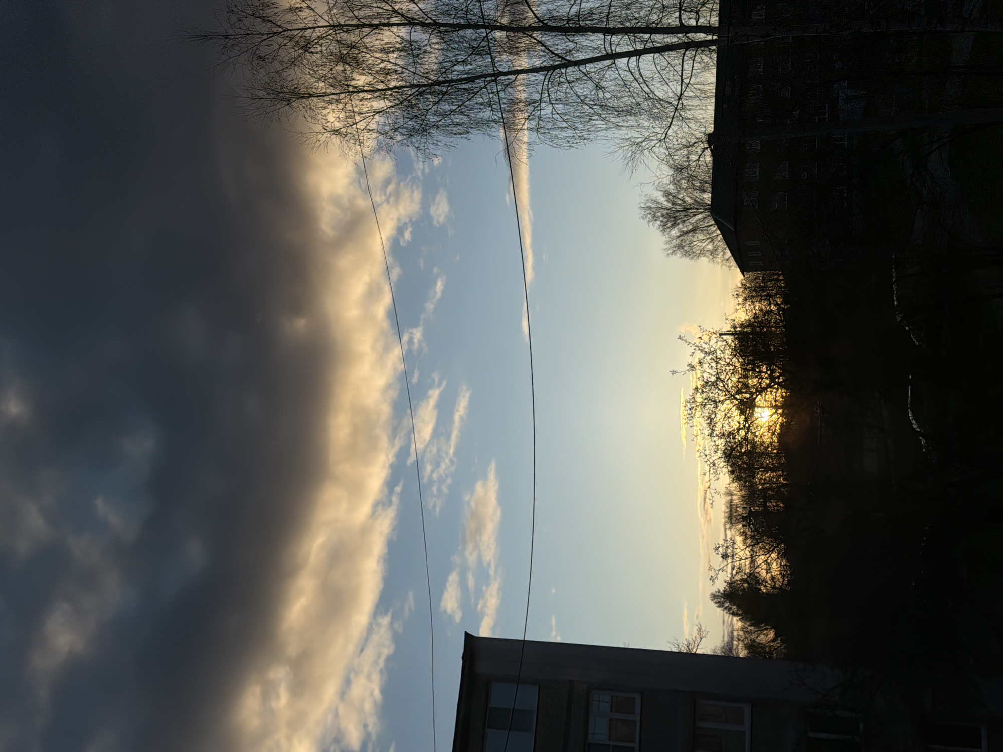 An outdoor image, likely taken at either sunrise or sunset, captures a dramatic sky over Reshetnikovo, Russia. The scene is dominated by a sharply contrasted sky, with a large, heavy mass of dark grey clouds filling the upper left quadrant. To the right, the sky transitions to a lighter, clear blue, dotted with smaller, wispy clouds that glow with warm, golden light from the sun.
The sun itself is visible on the far right, peeking through a dense cluster of bare tree branches, casting a bright, warm yellow-orange light that silhouettes the surrounding foliage and illuminates parts of the sky. Numerous slender, dark, leafless tree branches extend across the top portion of the frame, appearing as stark silhouettes against the varying sky.
Stretching horizontally across the mid-ground are two thin, dark wires or power lines, cutting across the clouds and blue sky. In the lower part of the image, the tops of two multi-story buildings are visible. One building on the far right is mostly dark, silhouetted against the bright light. Another building in the bottom center-right, has visible windows and appears to be made of light-colored concrete or stone. The overall impression is a somewhat stark, urban or semi-urban landscape captured during a transitional period of day.
There are no people or visible text in the image. The bare trees suggest the photograph was taken during late autumn, winter, or early spring.