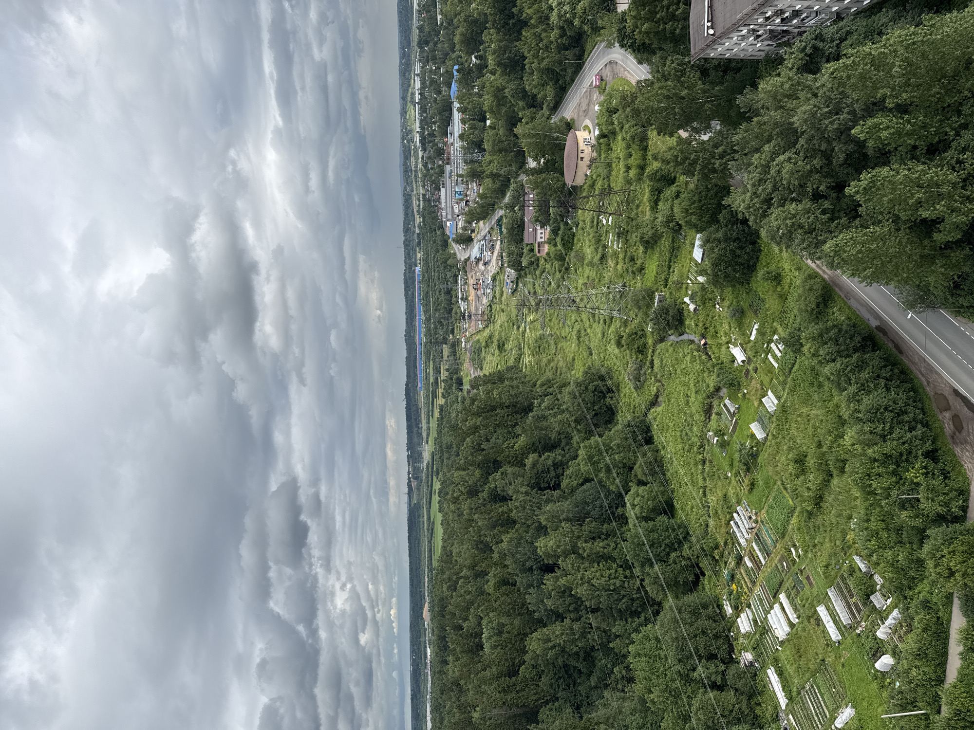 The image is an aerial view of a suburban landscape in Pargolovo, Russia, under a heavily overcast sky. The foreground features a dense, dark green forest bordering a road and an area of garden plots. These plots are neatly arranged, with some covered by white plastic sheeting or greenhouses, suggesting agricultural activity. Power lines and transmission towers are visible throughout the scene, indicating the presence of infrastructure. Further into the distance, more houses and industrial buildings are scattered among the trees. The horizon shows a flat expanse with a body of water on the left, and more distant industrial structures and a highway on the right. The overall impression is one of a rural or semi-rural area being developed or coexisting with industry, under a subdued, cloudy sky. There are no people or animals visible in the image.