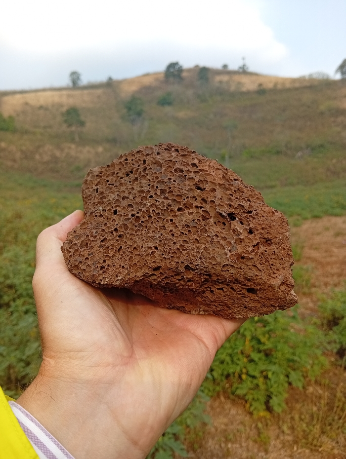 A light-skinned human right hand, wearing a yellow shirt with a purple and white striped cuff, holds a dark reddish-brown, highly vesicular igneous rock approximately 15-20 cm in length. The scene is outdoors in Đức Lập, Vietnam, with a blurred background displaying a gently sloping hillside. The terrain consists of patches of dry, light brown grass, interspersed with areas of greener low-lying vegetation and scattered small trees. The sky is uniformly light gray and overcast.