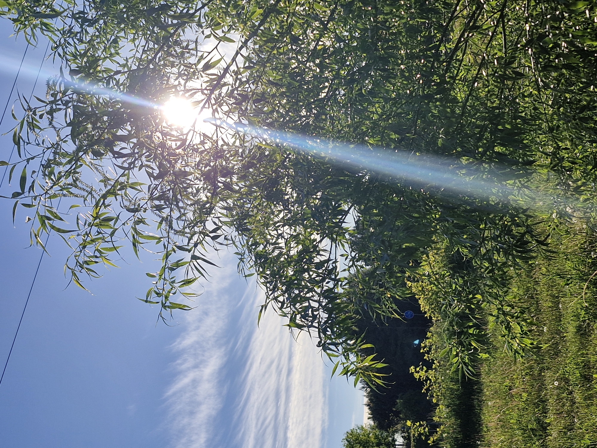 A low-angle shot depicts the sun shining through the leaves of a tree. In the lower-left quadrant, the sky is visible with thin clouds. The lower-right quadrant shows grass. A power line runs vertically along the left edge of the image. The location is Unknown, Unknown.