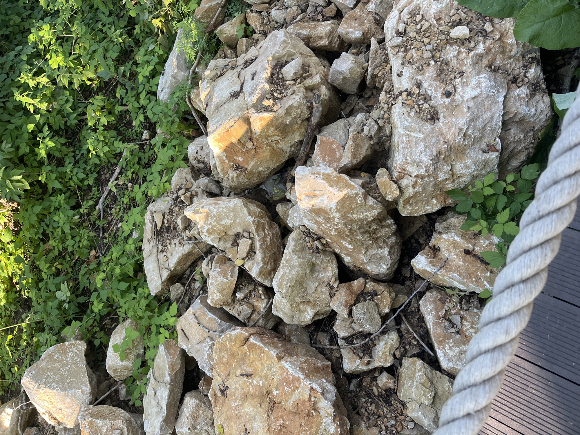 A pile of large, light-colored rocks, some with orange and white streaks, are situated amongst green foliage and dry dirt. A thick, gray rope is in the foreground, partially obscuring a wooden deck. This scene is located in Blagoveshchensk, Russia.