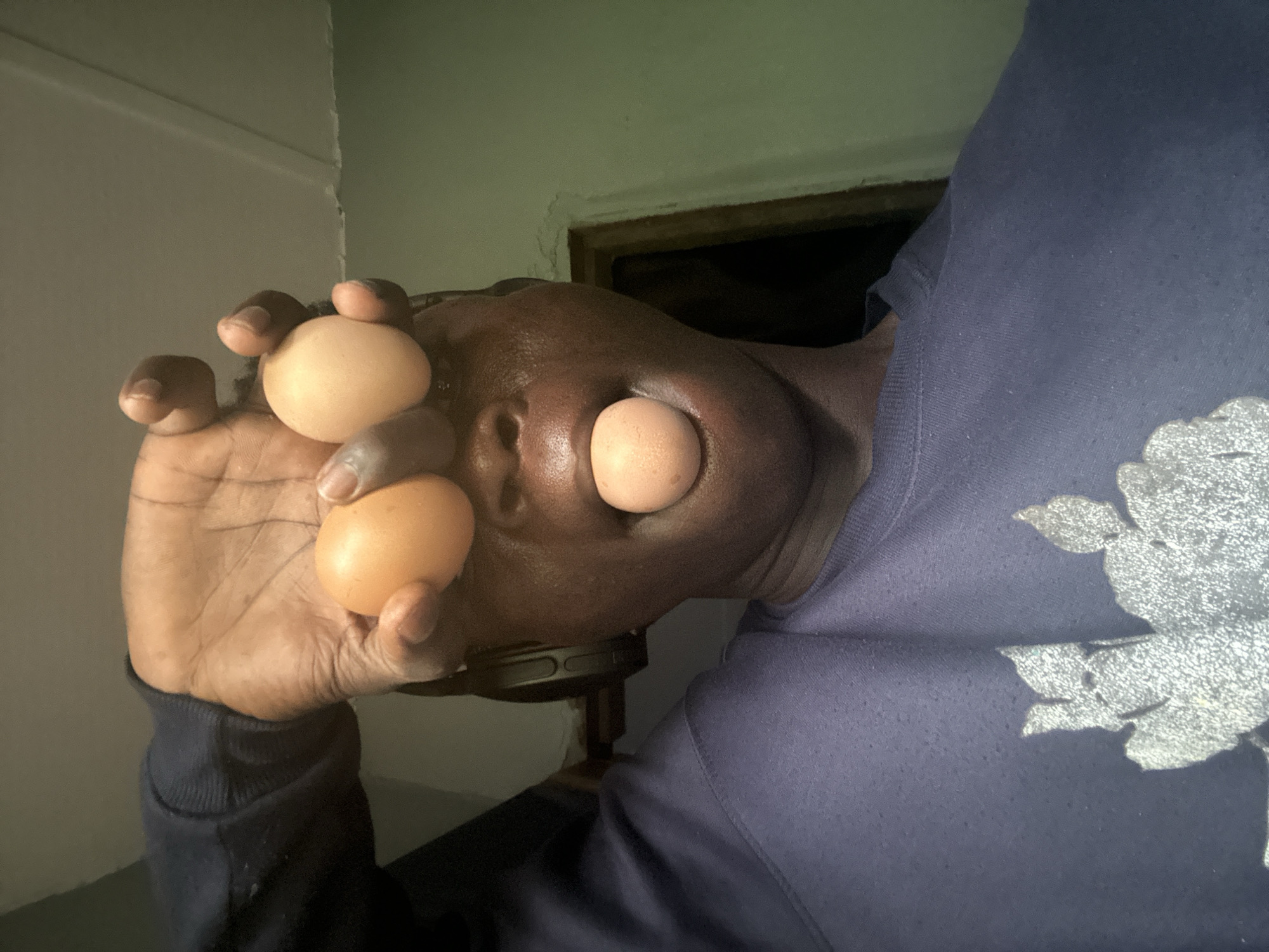 A person's face is partially visible, with three brown eggs being held near their face. One egg is positioned in front of the person's eye, while two others are held in the person's hand. The person is wearing a purple hooded sweatshirt with a silver floral design on the right side of the chest. The background appears to be indoors with a light-colored wall and a dark opening, possibly a doorway or window, in the upper right portion of the image. The lighting suggests an indoor setting, possibly during the day. The image is oriented sideways, with the person's face angled towards the viewer. The overall mood of the image is somewhat unusual and intriguing due to the placement of the eggs. There is no visible text in the image. The location is identified as Badagry, Nigeria.