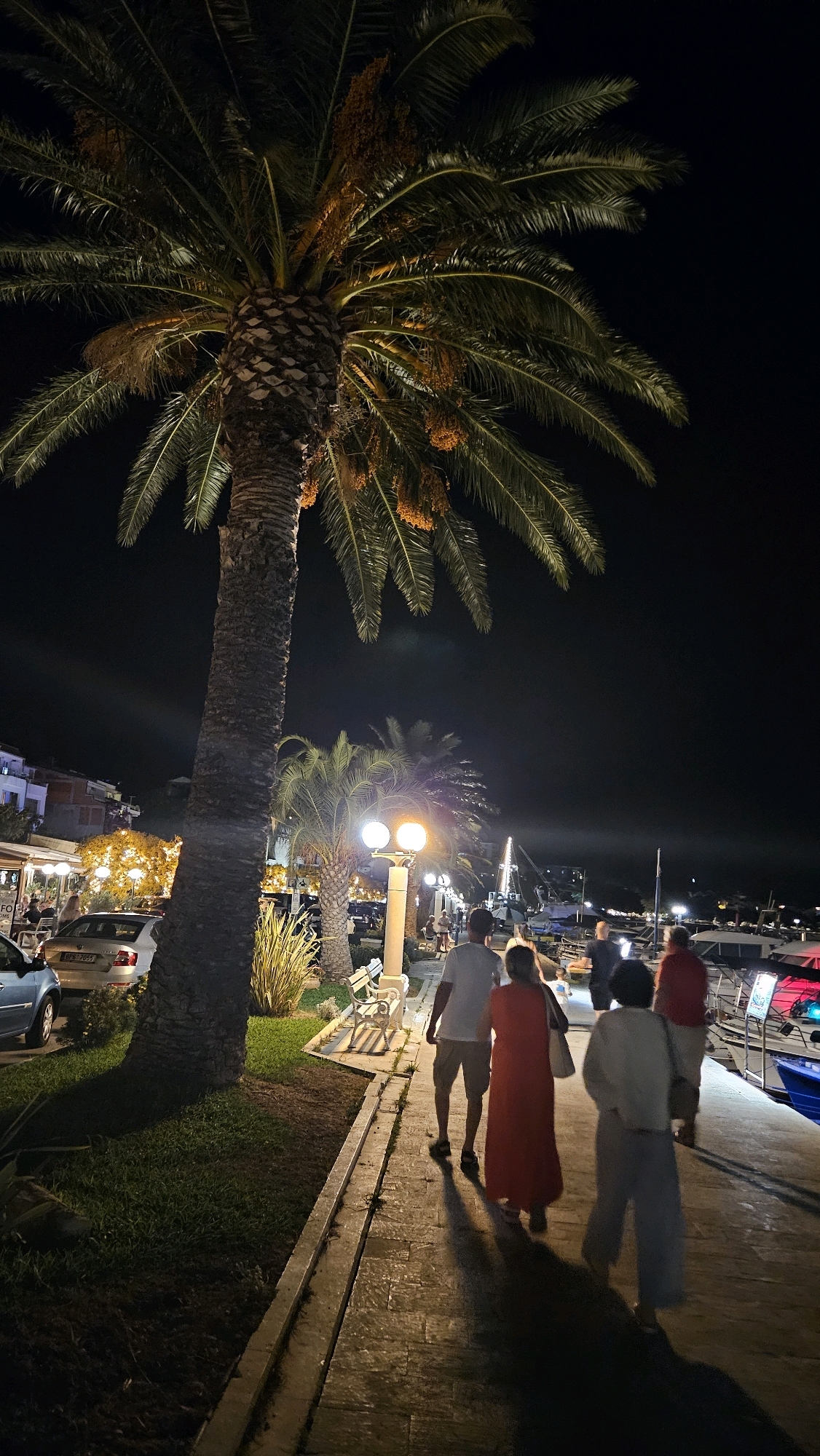 In Općina Tučepi, Croatia, at night, a group of people walk along a paved promenade beside a grassy area and a large palm tree. The promenade is lit by streetlamps. To the left of the promenade, cars are parked near buildings with illuminated windows, suggesting shops or restaurants. Beyond the promenade, boats are docked in a harbor. The scene is dark, illuminated by artificial lights and the glow from the buildings.