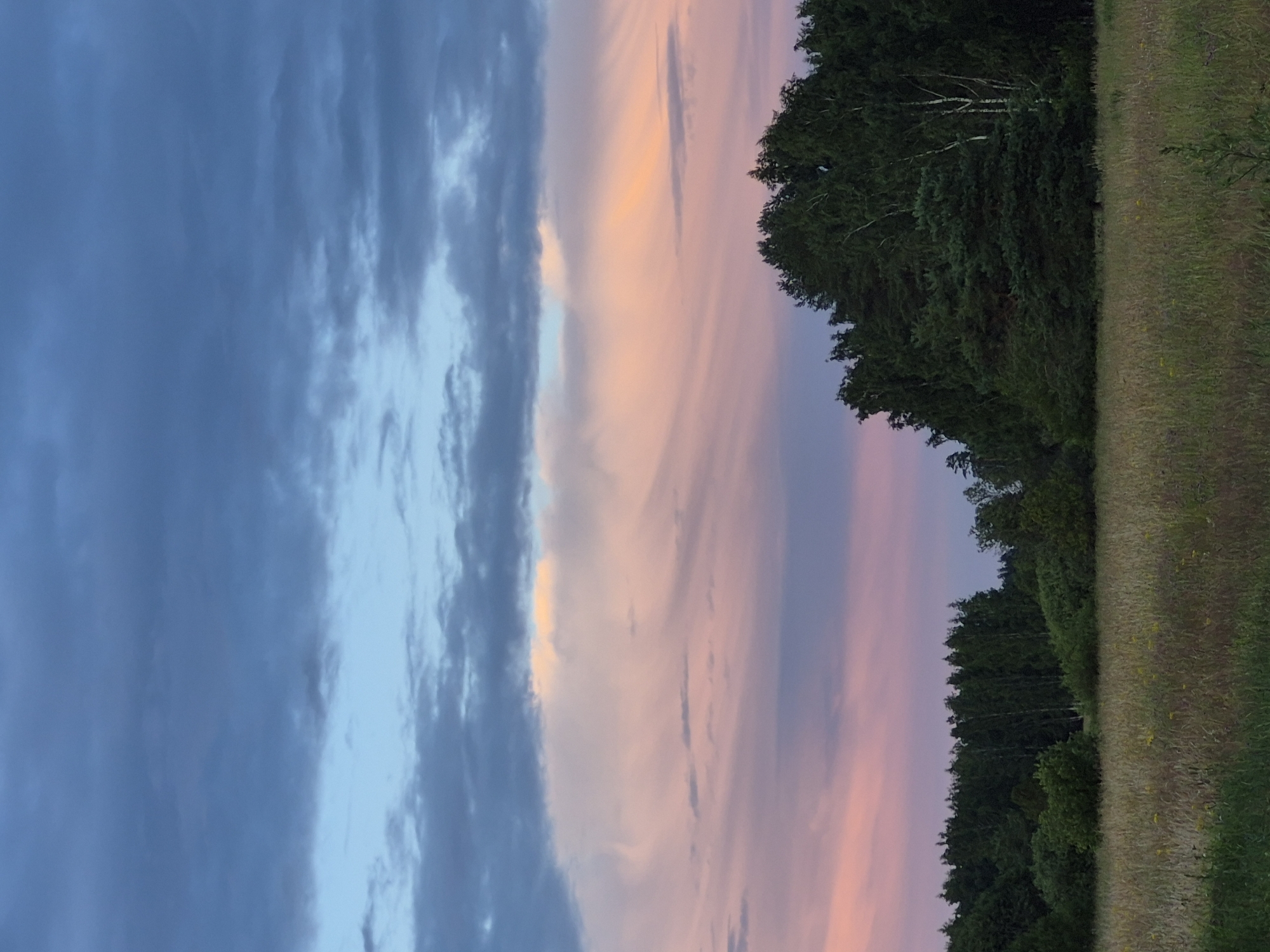 This image captures a sunset over a rural landscape in Sooblase, Estonia. The sky is a dramatic canvas of colors, with dark blue and grey clouds on the left transitioning to soft pinks and oranges as the sun sets on the horizon. Wispy clouds stretch across the sky, creating a sense of depth and movement.
On the right side of the image, a dense line of dark green trees forms a stark contrast to the colorful sky. The trees appear to be a mix of coniferous and deciduous species, with some lighter-colored trunks, possibly birch, visible within the foliage. Beyond the trees, a field of dry, golden grass stretches into the distance, suggesting it might be late summer or early autumn. The presence of a few small yellow flowers in the field adds a subtle touch of color.
The time of day is clearly sunset, indicated by the warm hues in the sky. The weather appears calm and clear, with the clouds providing visual interest rather than suggesting inclement conditions. The setting is natural and serene, evoking a sense of peace and tranquility. There are no people or man-made objects visible in the image, reinforcing the natural and undeveloped feel of the location. No text is visible.