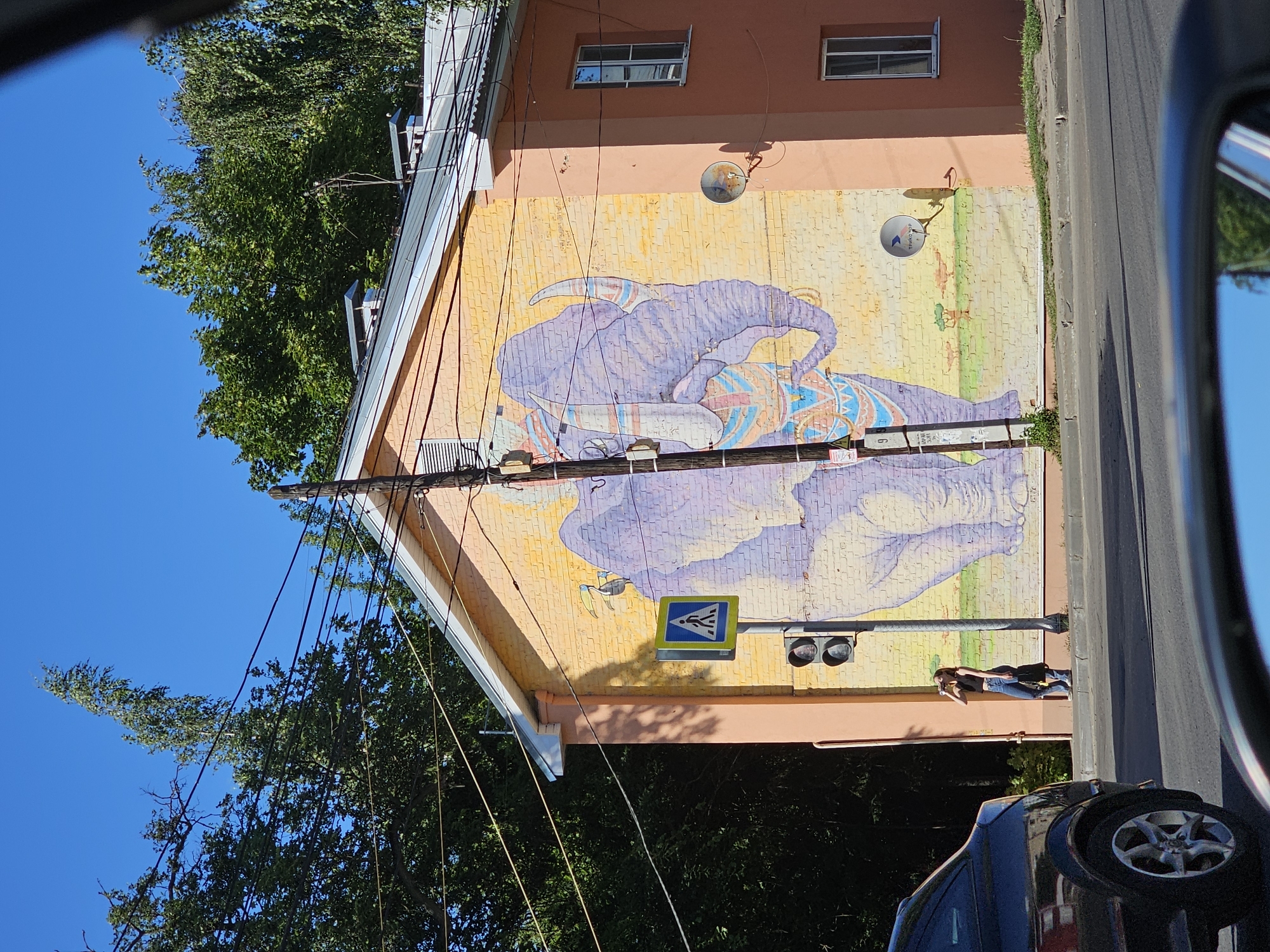The image shows a mural of a purple elephant painted on the side of an orange building. The elephant is depicted lying down, with its trunk curled up. The mural is colorful, with the elephant adorned with intricate patterns in blue, red, and yellow. The background of the mural depicts a savannah scene with trees and animals.
The building has two windows visible on the upper floor. Below the mural, there is a pedestrian crossing sign and a traffic light. A person is standing near the traffic light, appearing to take a photo with their phone. They are wearing jeans and a dark top, with a bag slung over their shoulder.
The scene is outdoors, under a clear blue sky, suggesting it is daytime and the weather is sunny. Several power lines crisscross in front of the mural and the building. Trees with lush green foliage surround the building, and a paved road is visible on the right side of the image. A portion of a black car is visible in the foreground, reflecting the blue sky and trees in its side mirror. The image seems to be taken from a moving vehicle, given the perspective and the presence of the car's mirror. The overall impression is of an urban street scene featuring public art. The text "TRANCO" is visible on the satellite dish attached to the building.