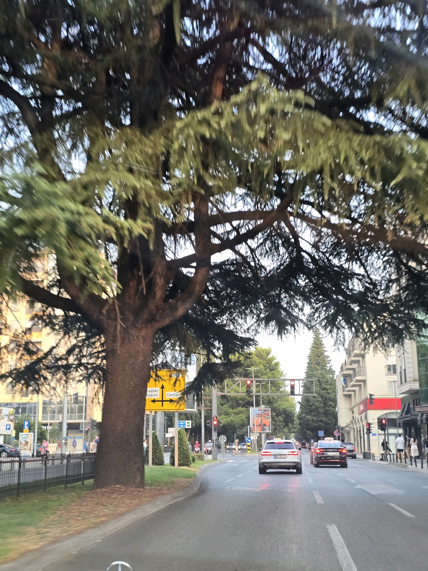 The image captures a view from a vehicle moving through a city street, likely in Podgorica, Montenegro, given the signage. A large tree with dense foliage dominates the left side of the frame, its branches extending over the road. In the background, buildings line the street, some appearing to be apartment complexes or commercial establishments. Several cars are on the road, including a white Audi and a black vehicle, both appearing to be taxis due to the signage on their roofs. Traffic lights are visible at an intersection, with red lights illuminated. Pedestrians are seen on the sidewalks, and a few motorbikes are also present. The street is paved, with white lane markings visible. The overall impression is of a typical urban scene during daylight.
