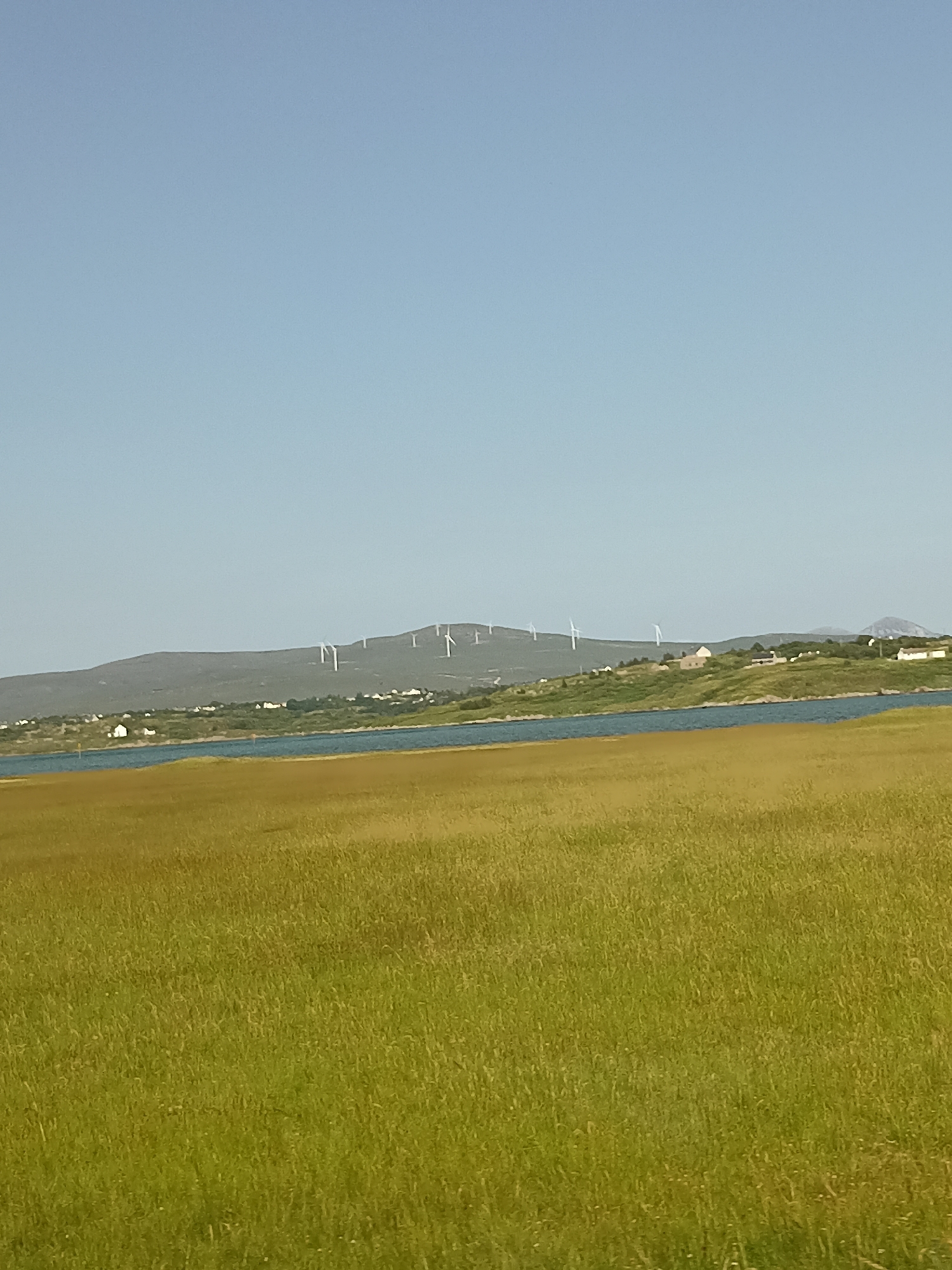 The image shows a rural landscape in Ranafast, Ireland. In the foreground, a large field of tall, green grass stretches across the frame. Beyond the field, a body of blue water, likely a lough or bay, is visible. In the middle ground, rolling hills are dotted with houses and trees. The crest of the hills is lined with several white wind turbines. The sky above is a clear, pale blue with no clouds. The scene depicts a sunny day in a picturesque, coastal Irish setting.