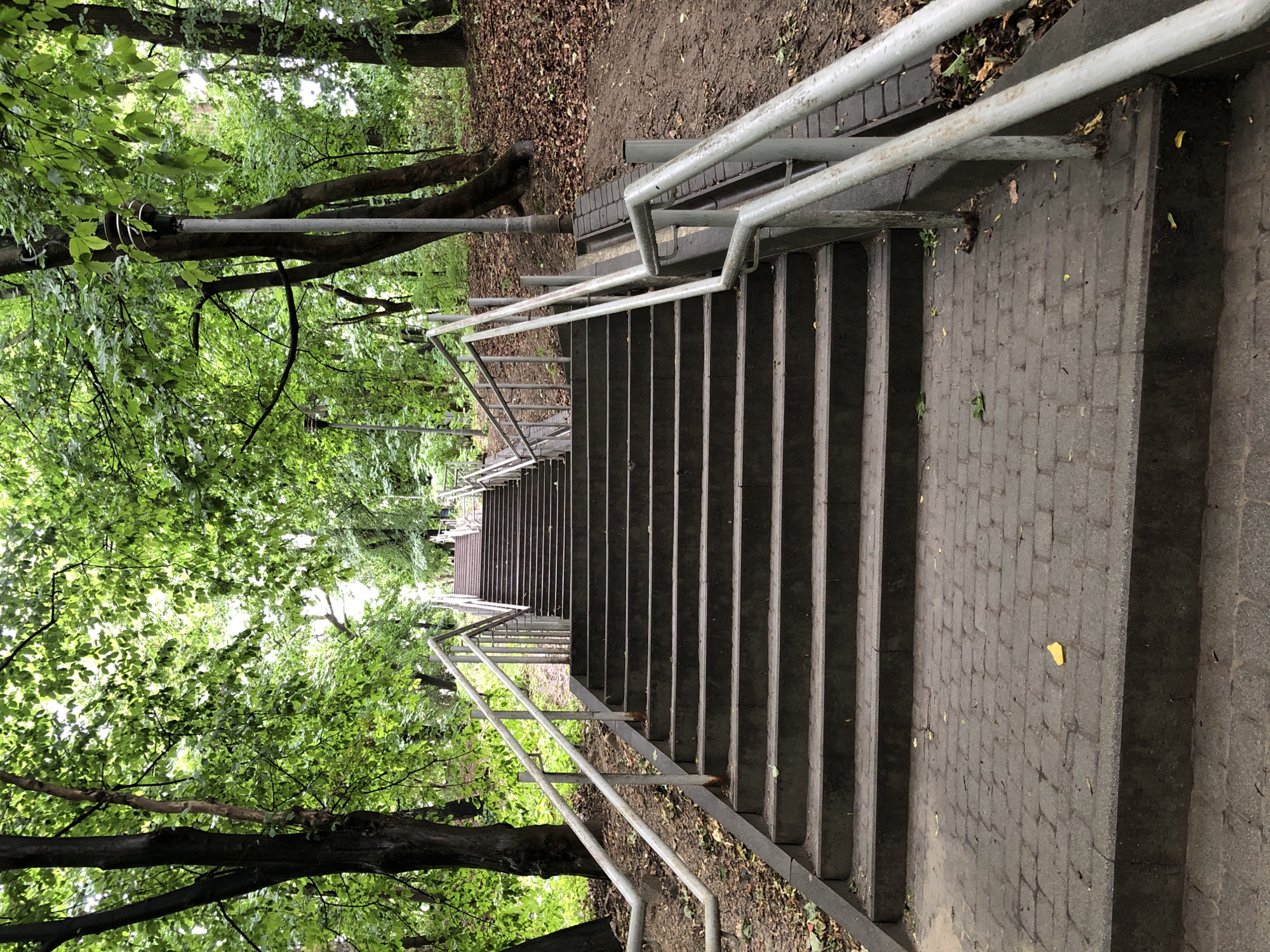 The image depicts a long, wide outdoor staircase made of concrete steps and a paved walkway leading up through a wooded area. The stairs are flanked by metal handrails on both sides, and there are streetlights visible along the pathway. The trees are full of green leaves, suggesting it is springtime or summer. The ground beside the stairs is covered in leaf litter and dirt. In the foreground, a single yellow leaf is visible on the paved section of the walkway. The overall scene suggests a park or a pathway in a natural setting within a city. Based on the context, this location could be a public park or a promenade in Lviv, Ukraine, such as the ascent from Stryiskyi Park towards the observatory.