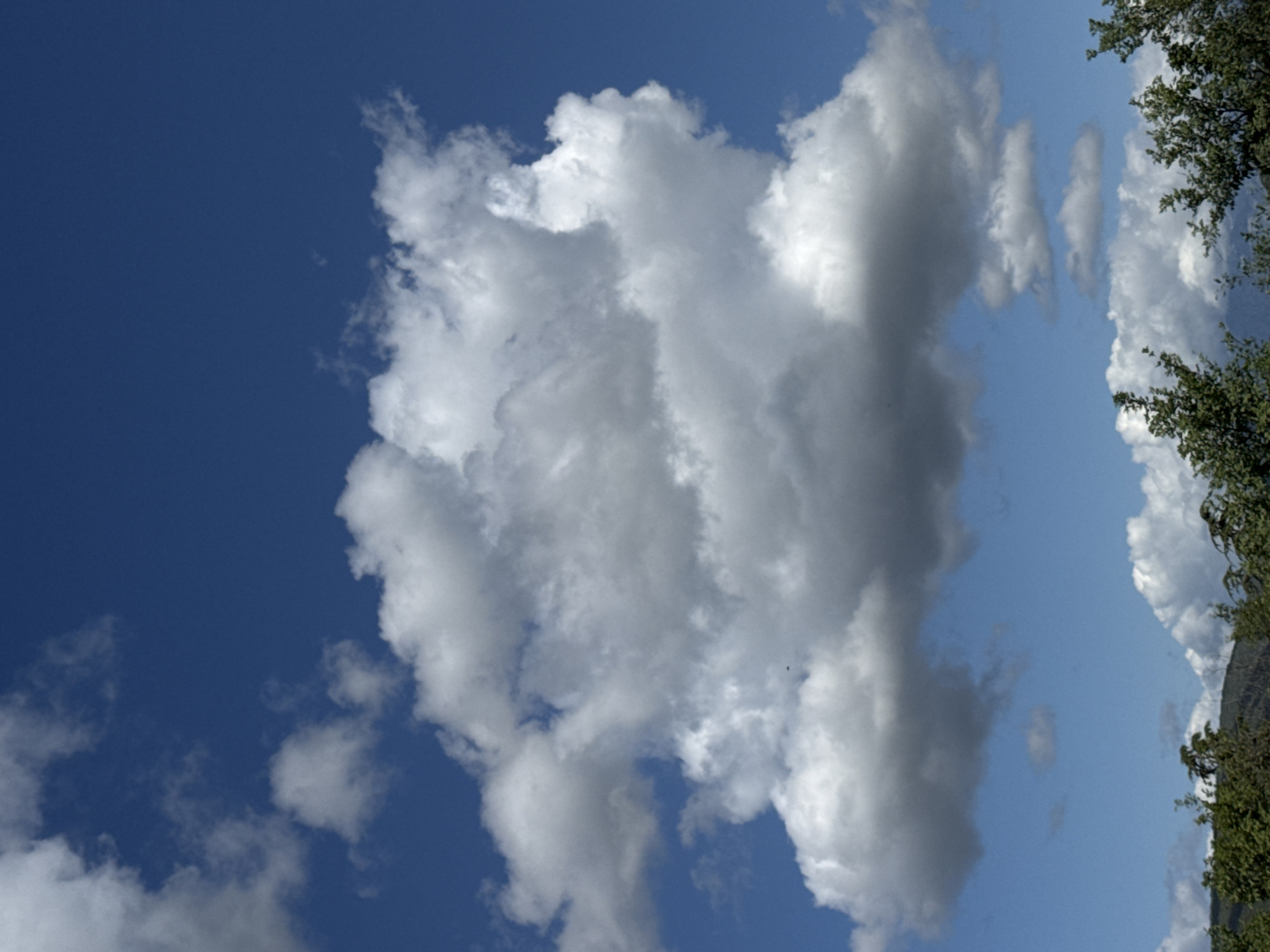 The image shows a daytime view of the sky above Podlastva (Poljice), Montenegro. Predominantly blue sky fills the left portion of the frame. A large cluster of cumulus clouds occupies the central and right portions of the image. The cloud mass varies in shading from bright white to gray. The right edge of the frame is lined with green foliage, potentially trees, obscuring details beyond. A portion of a mountain or hill is visible behind the trees.