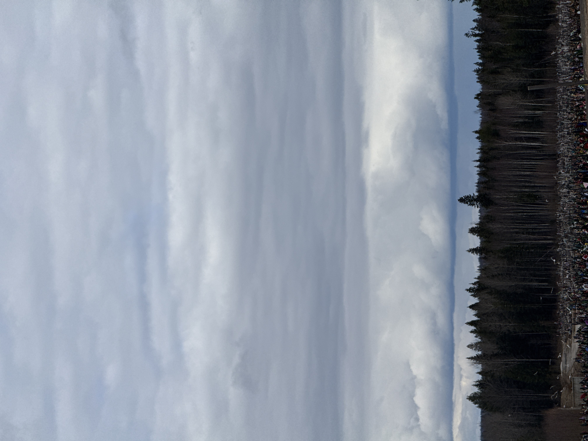 The image shows a cloudy sky above a dense forest. A multitude of crosses, likely part of a cemetery or memorial site, are visible in the foreground along the forest's edge. The scene appears to be in a natural environment rather than an urban setting, and there is no definitive evidence to associate this image with the city of Perm, Russia. No people or active events are visible.