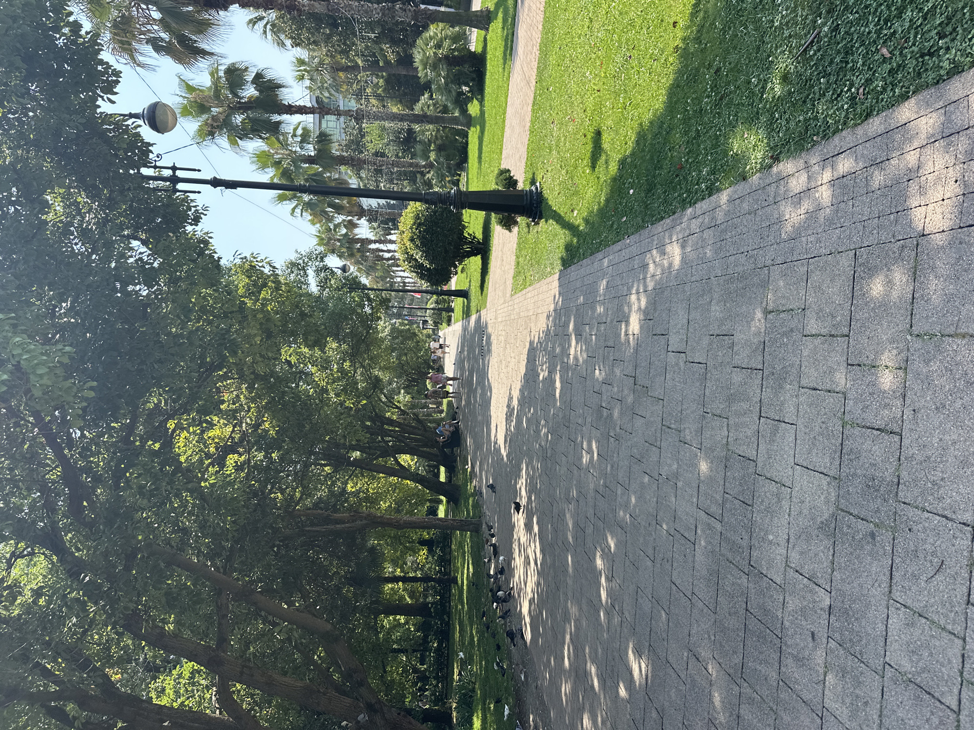 A paved walkway lined with trees and lush green grass stretches into the distance in Sochi, Russia. The path is made of grey concrete pavers, casting dappled shadows from overhead foliage. Several pigeons are scattered across the walkway, some feeding. In the middle ground, a few people are seated on a bench under the trees, while others walk along the path further down. Palm trees are visible on the right side of the image, along with a lamppost, indicating a pleasant, sunny day in a park or boulevard setting.