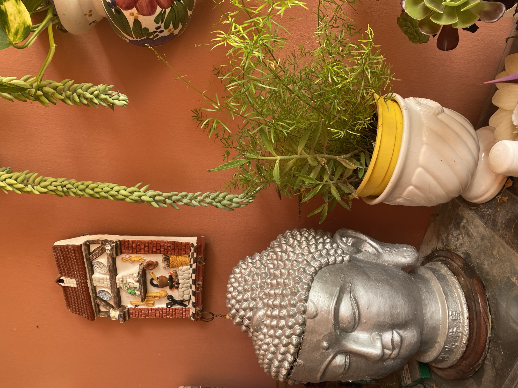 This image displays a collection of decorative items and plants arranged against an orange-brown wall. The primary subjects are a silver Buddha head statue, a small diorama of a miniature shop or dwelling, and several potted plants.
The Buddha head is large and detailed, with a serene expression. It sits on a wooden base. To the left of the Buddha head is a small, rectangular diorama depicting an interior scene with miniature furniture, kitchenware, and what appear to be figures or figurines. This diorama is attached to the wall by a thin chain.
Above and to the left of these items, several plants are visible. One plant, a "donkey's tail" succulent, hangs down with its characteristic chain of fleshy, segmented leaves. Another plant, with delicate, feathery green foliage, is in a yellow pot which is placed inside a white, ornate vase. Other succulents with green and reddish leaves are also seen at the top of the image.
The overall scene appears to be an indoor decorative arrangement. There are no indications of people or any specific activity taking place. The lighting suggests it is daytime, but the specific time is not discernible. The location cues do not offer any specific clues about the time of day, weather, or emotions. There are no visible text elements in the image.